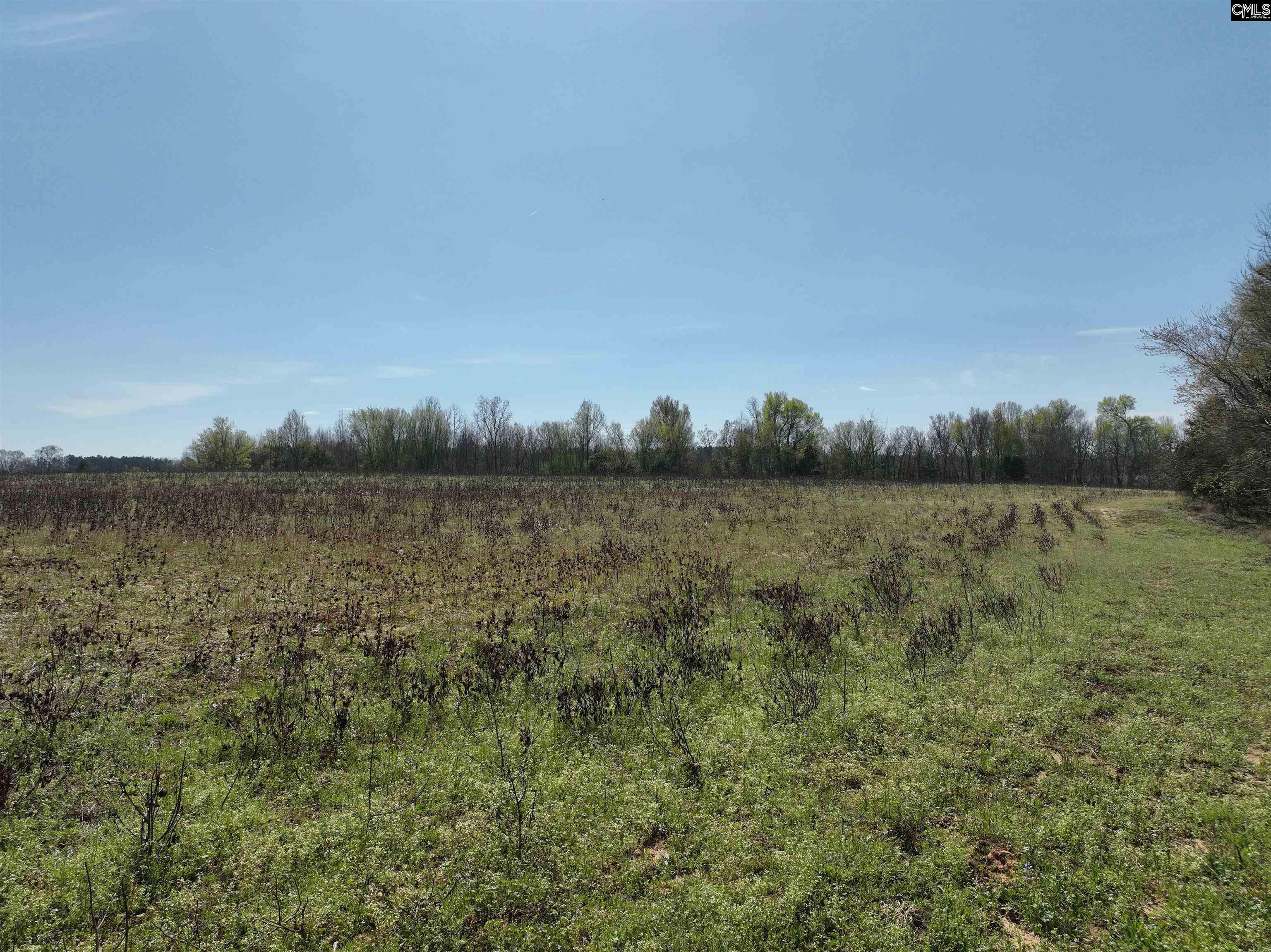 00 Dr Boylston Road Salley, SC 29137