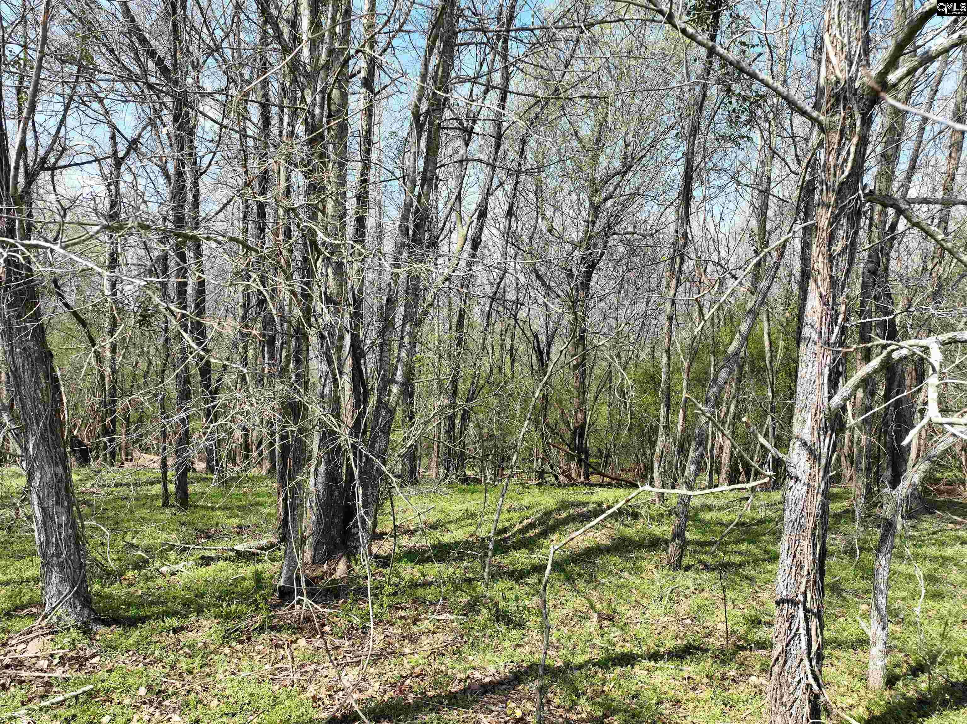 00 Dr Boylston Road Salley, SC 29137