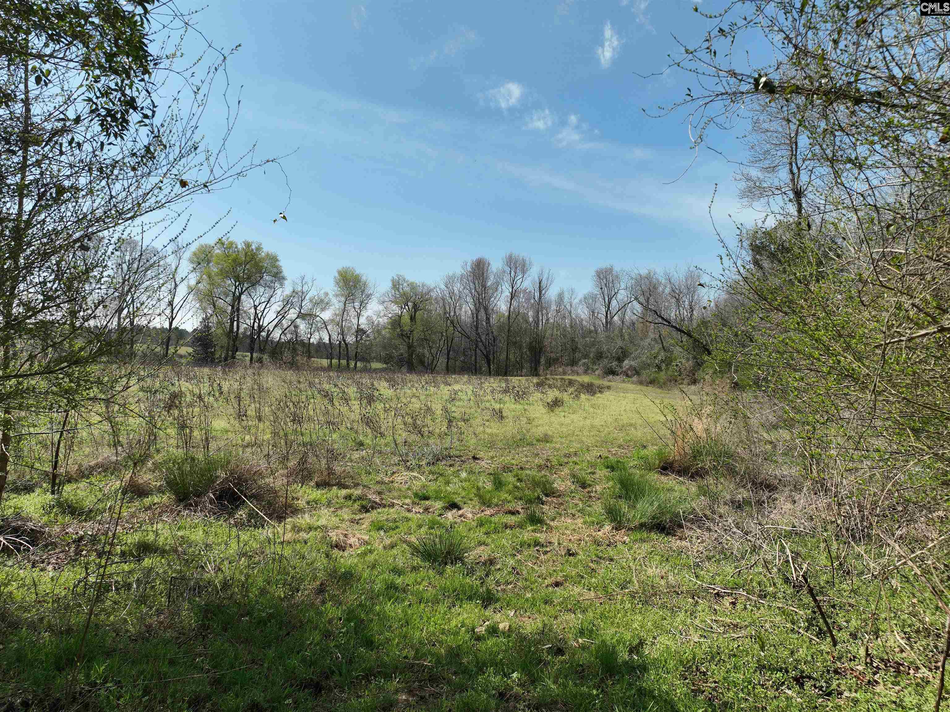 00 Dr Boylston Road Salley, SC 29137
