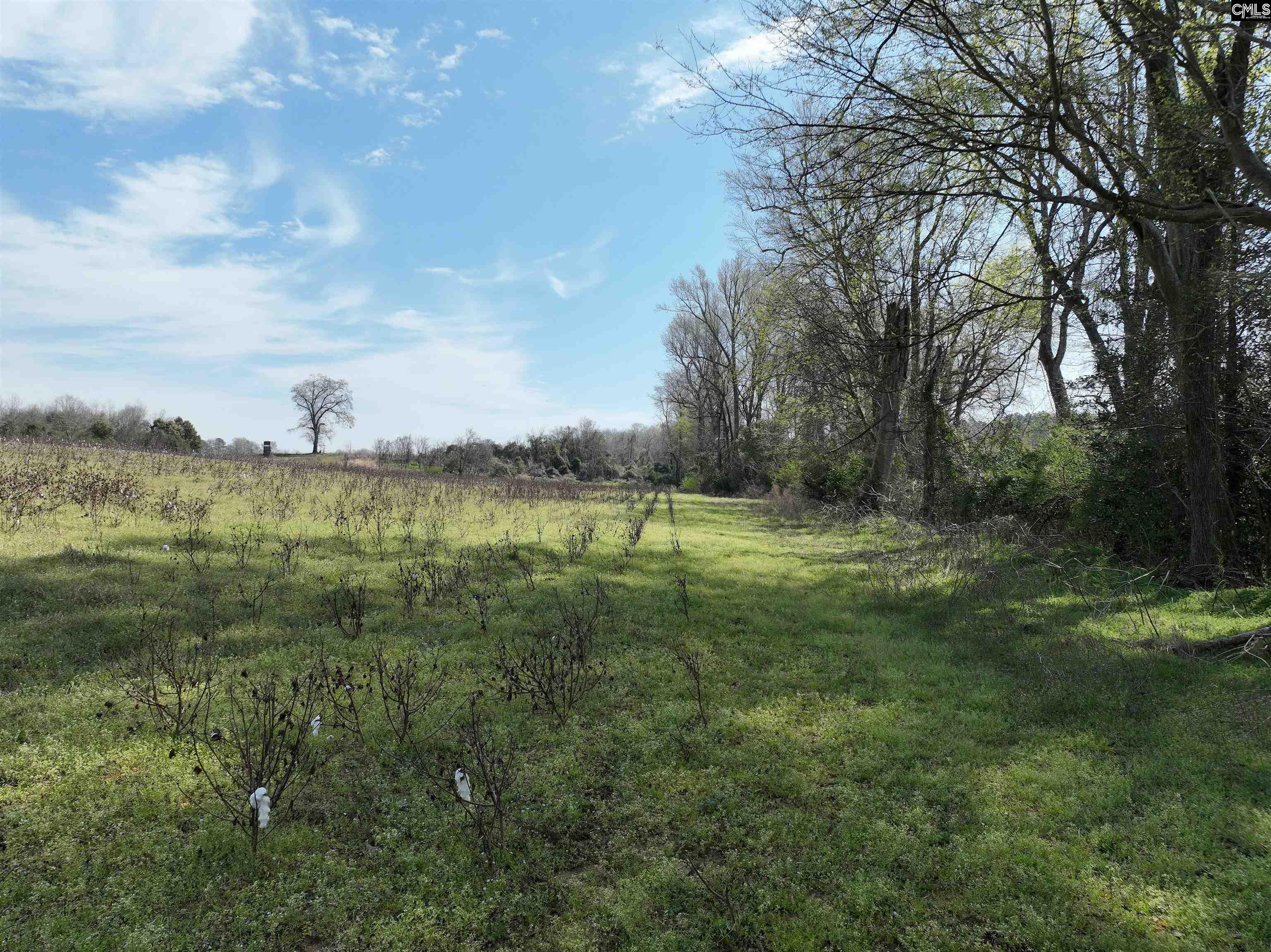 00 Dr Boylston Road Salley, SC 29137