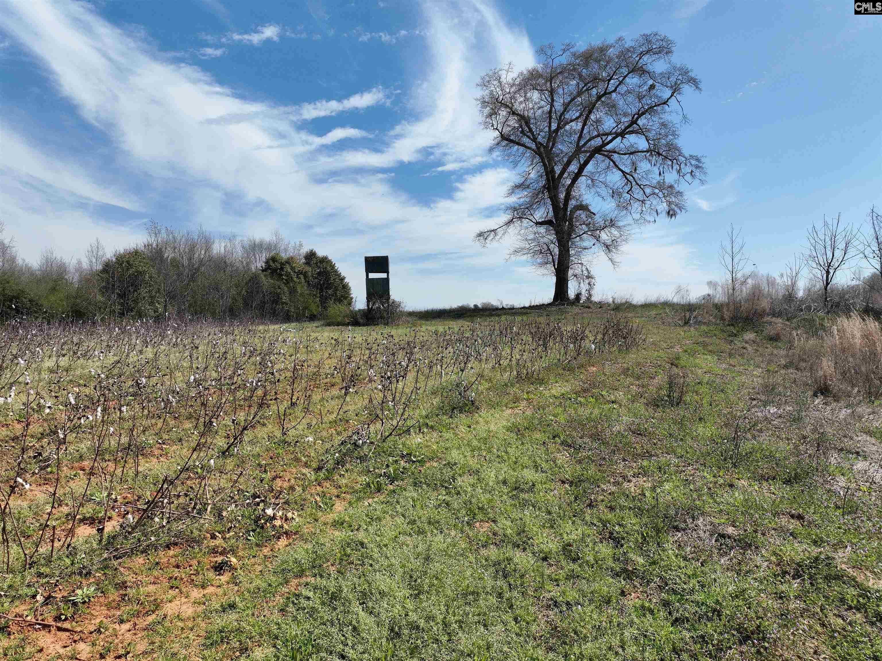 00 Dr Boylston Road Salley, SC 29137