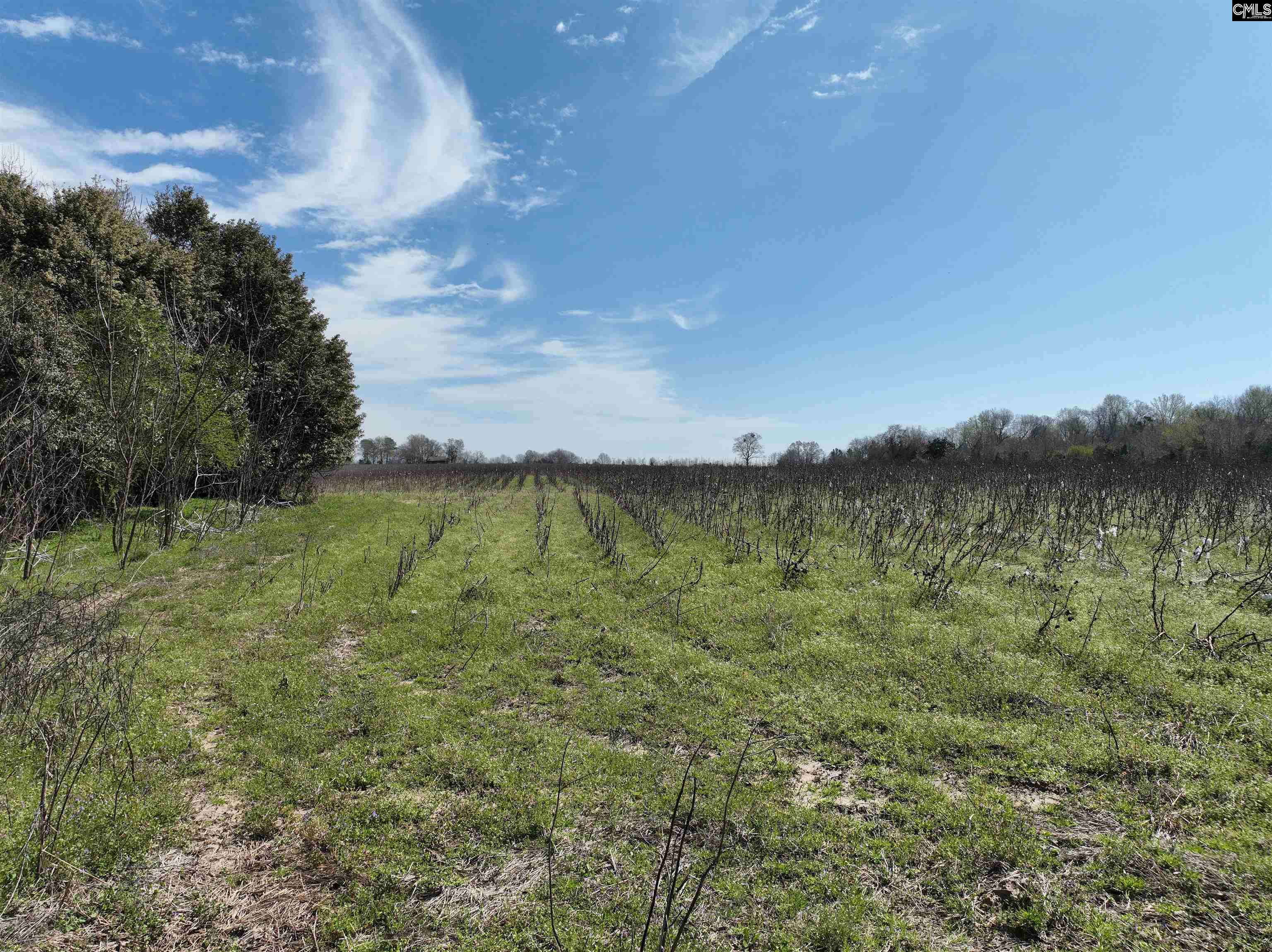 00 Dr Boylston Road Salley, SC 29137