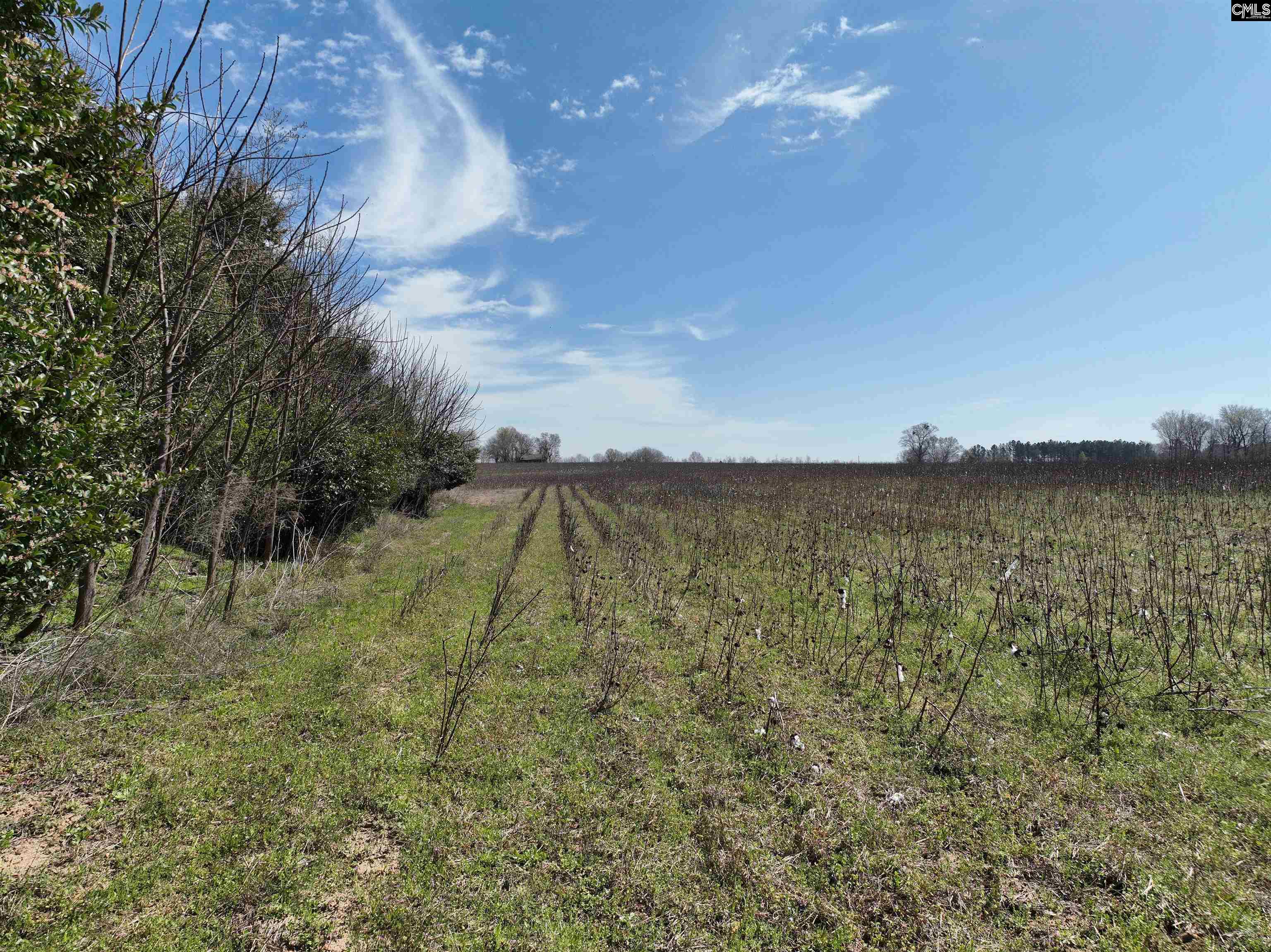 00 Dr Boylston Road Salley, SC 29137