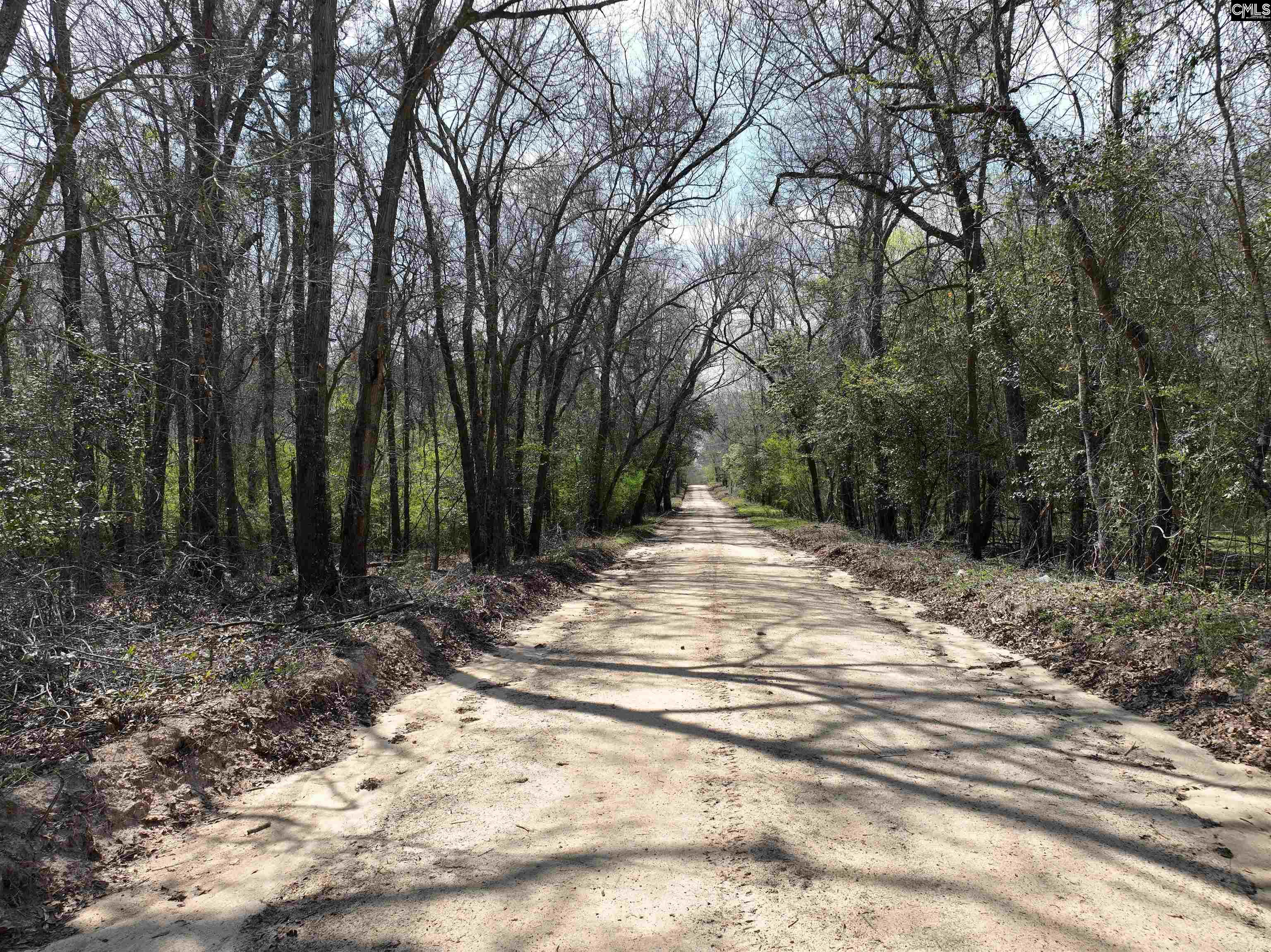 00 Dr Boylston Road Salley, SC 29137