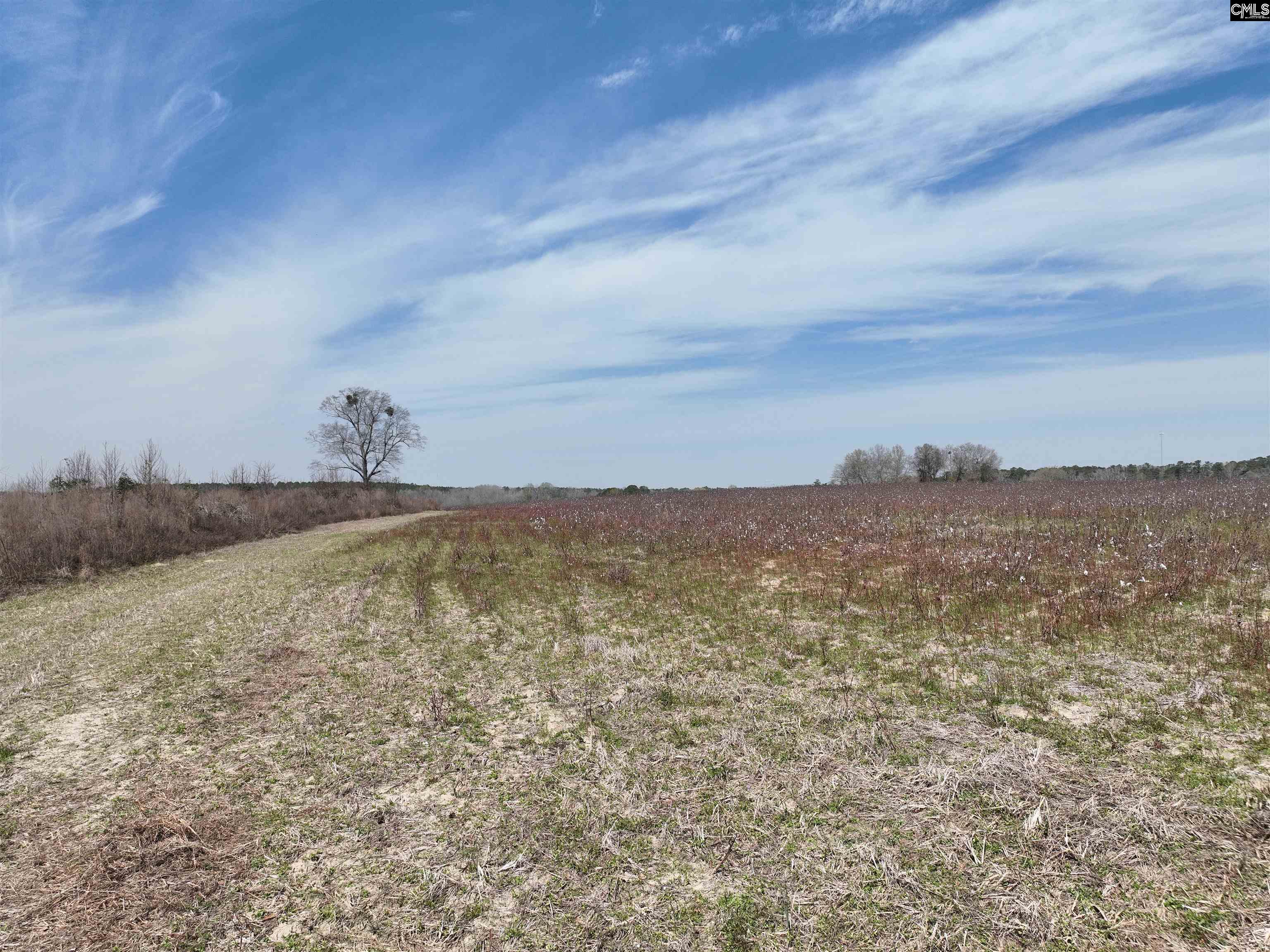 00 Dr Boylston Road Salley, SC 29137