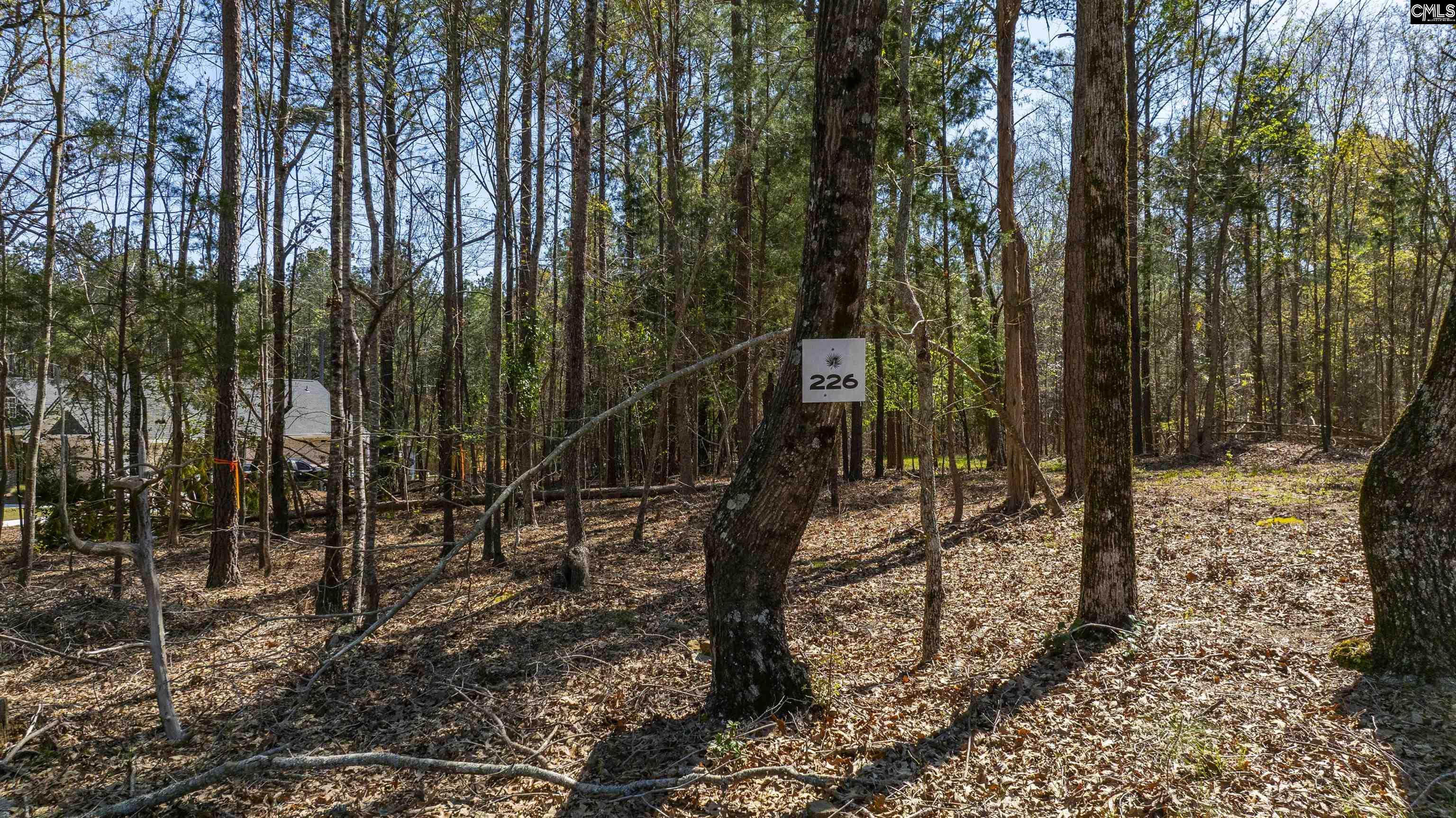 226 Granny Hill Road Prosperity, SC 29127