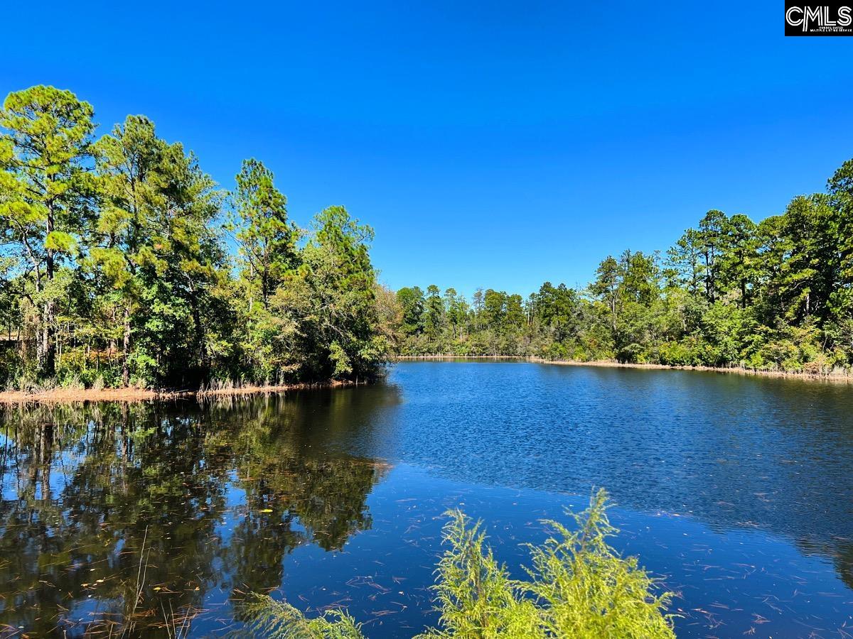 608 Thunder Gulch Avenue Lexington, SC 29073