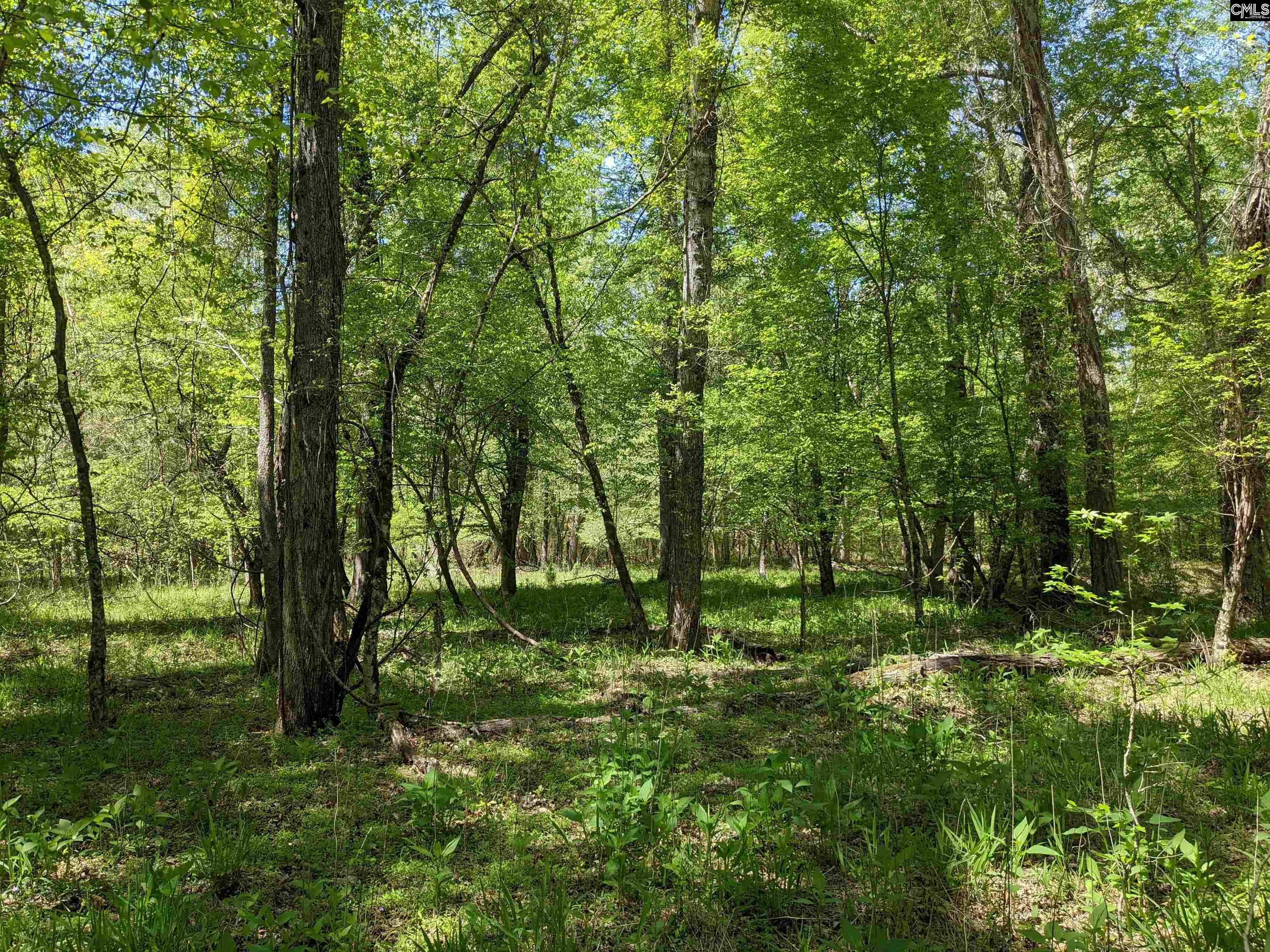 Old Hillcrest School Road Winnsboro, SC 29180