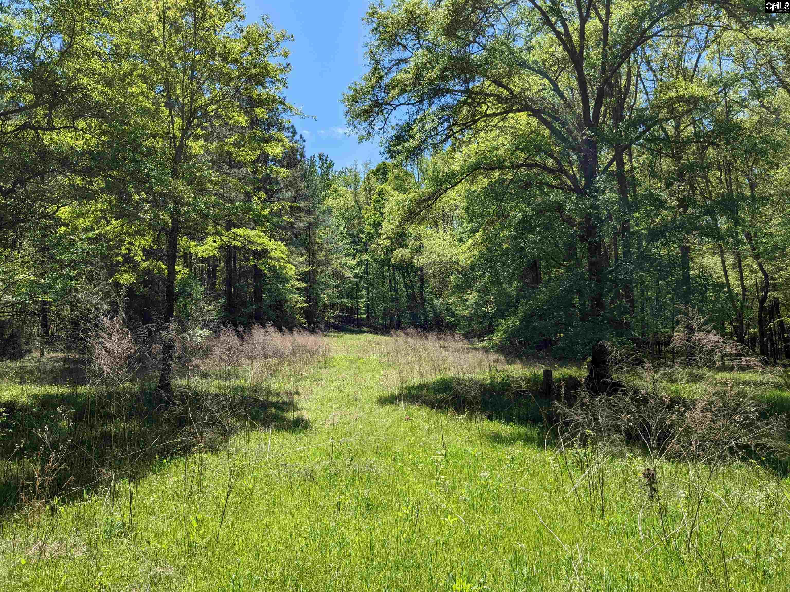 Old Hillcrest School Road Winnsboro, SC 29180
