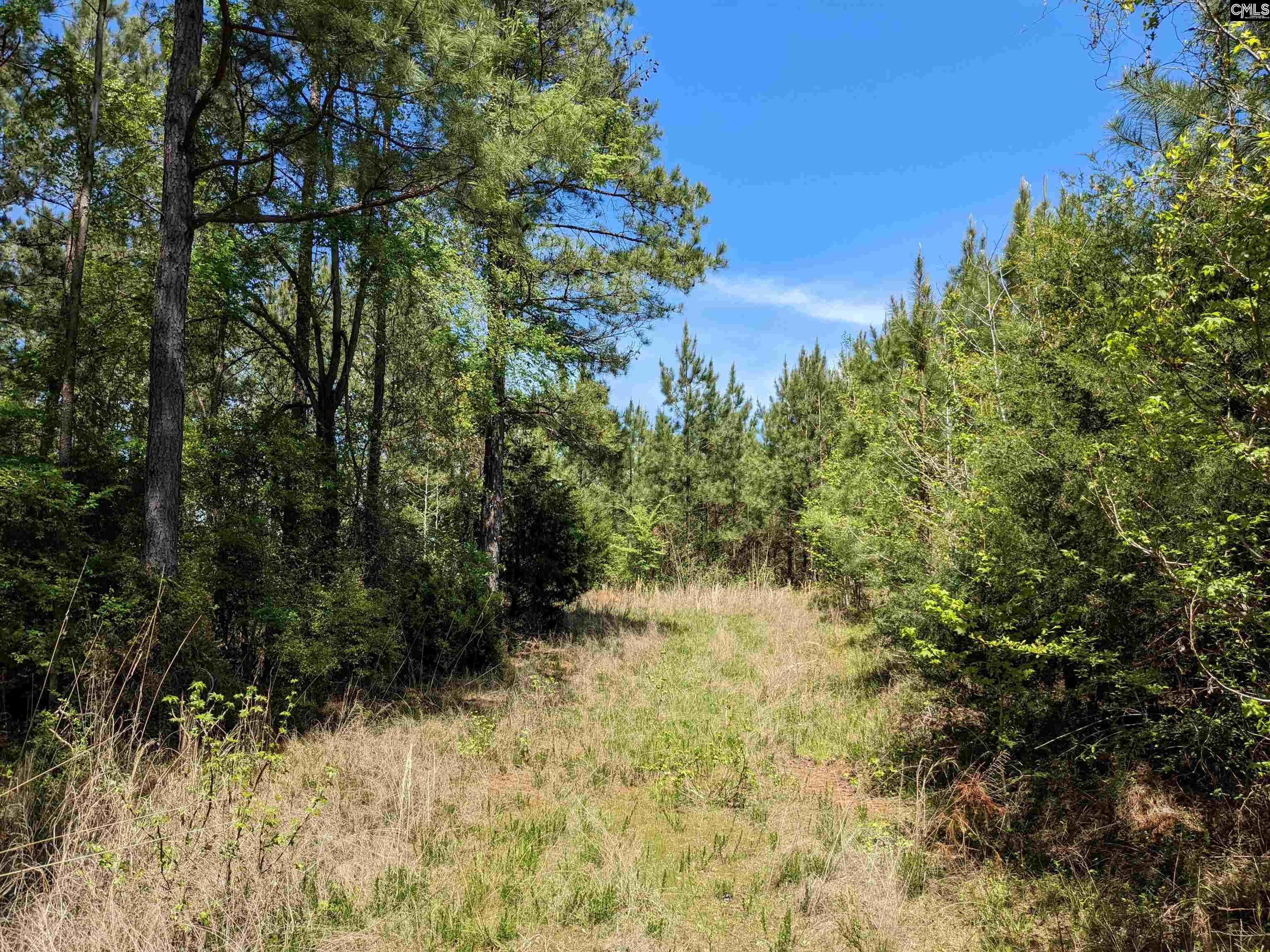 Old Hillcrest School Road Winnsboro, SC 29180