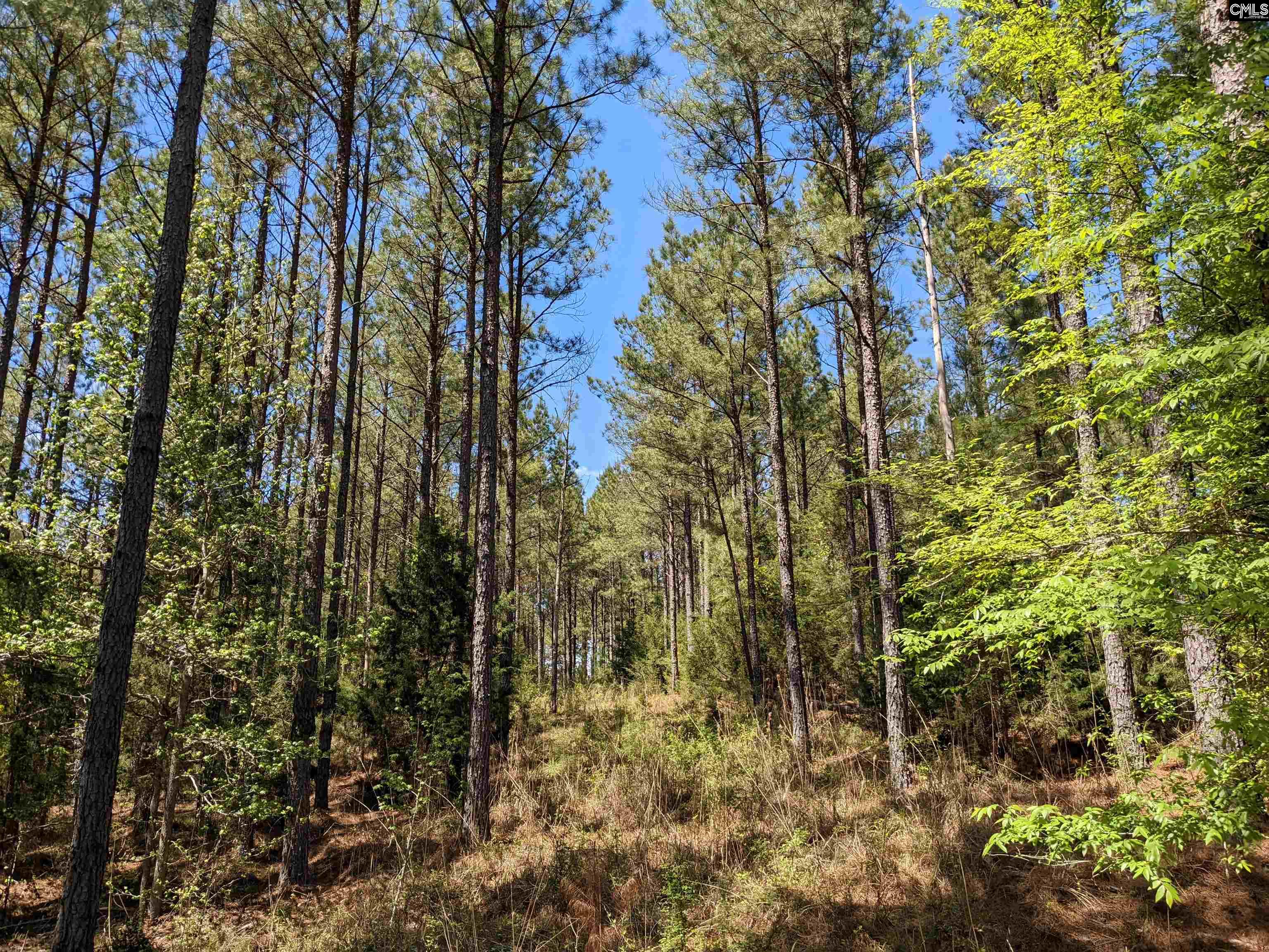 Old Hillcrest School Road Winnsboro, SC 29180