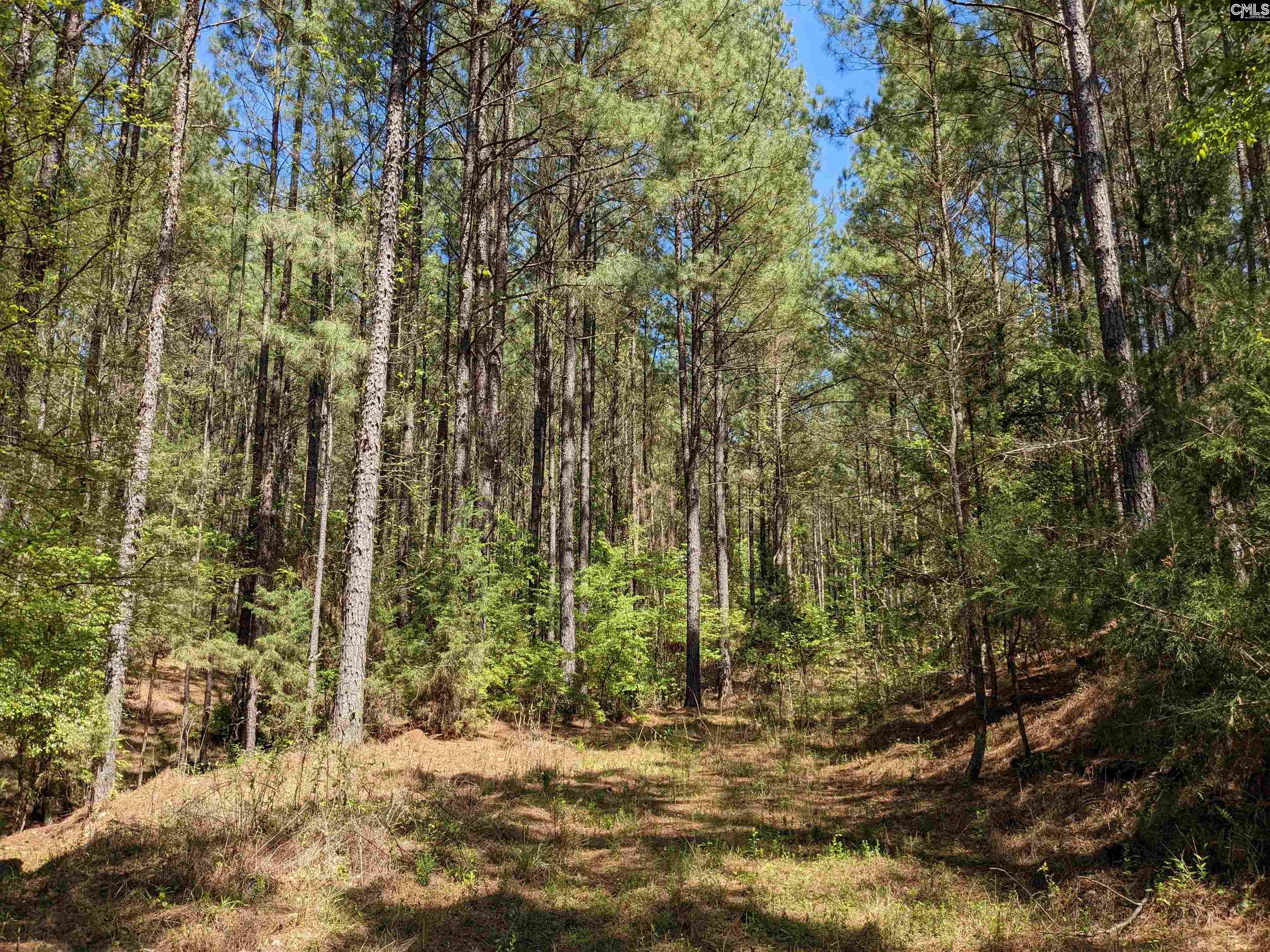 Old Hillcrest School Road Winnsboro, SC 29180