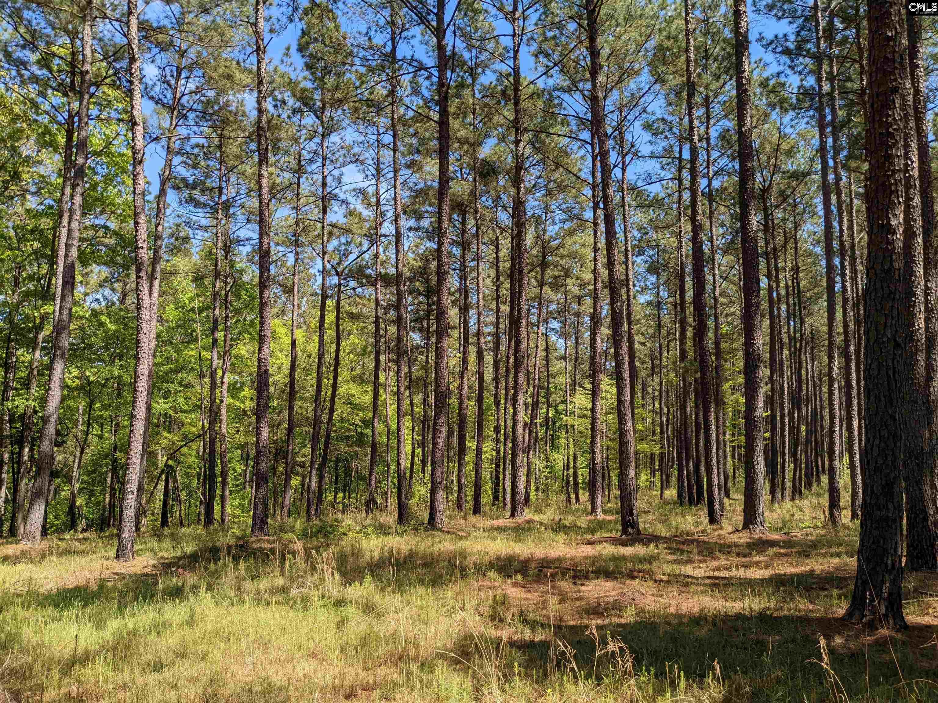 Old Hillcrest School Road Winnsboro, SC 29180