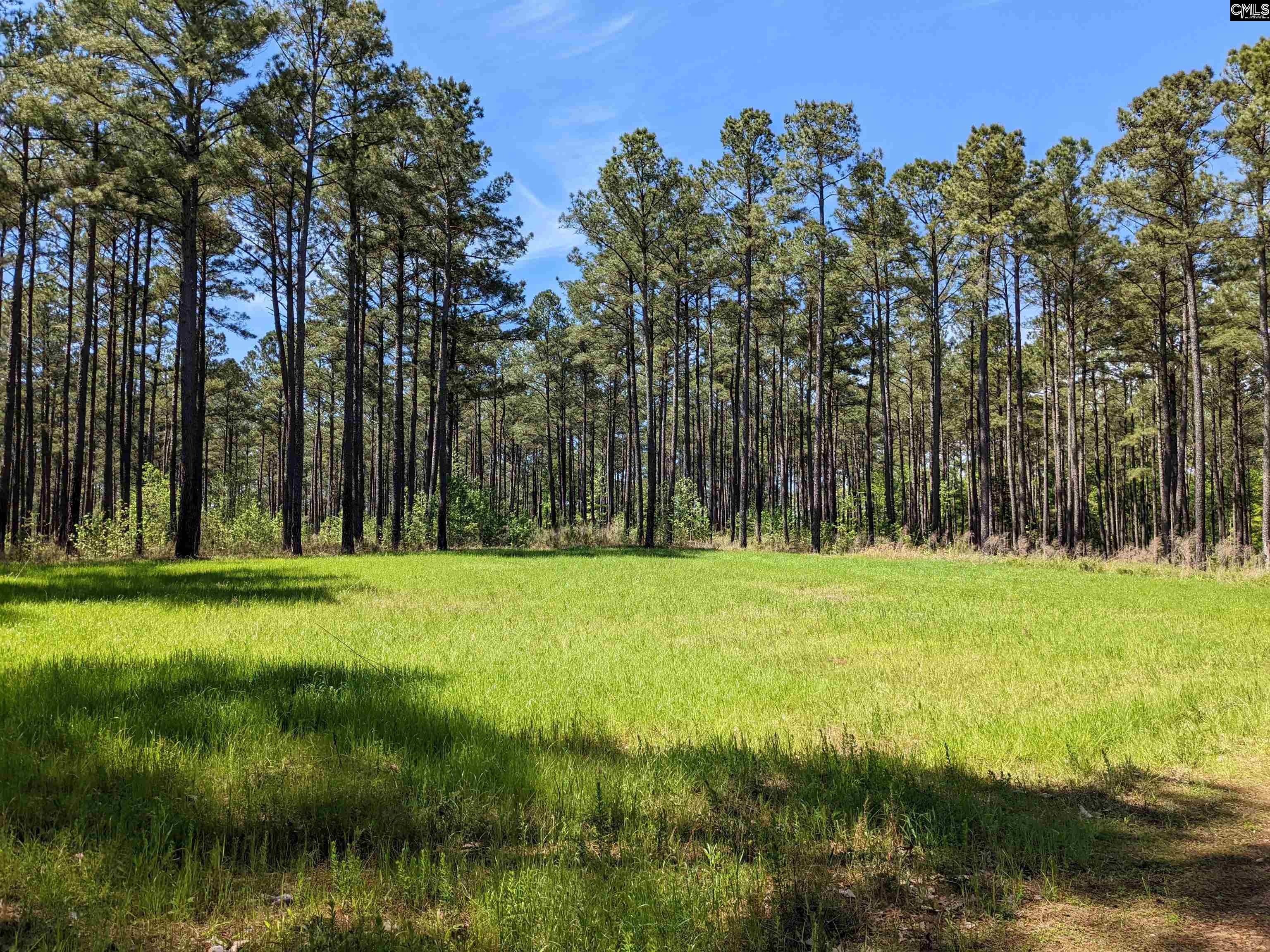 Old Hillcrest School Road Winnsboro, SC 29180