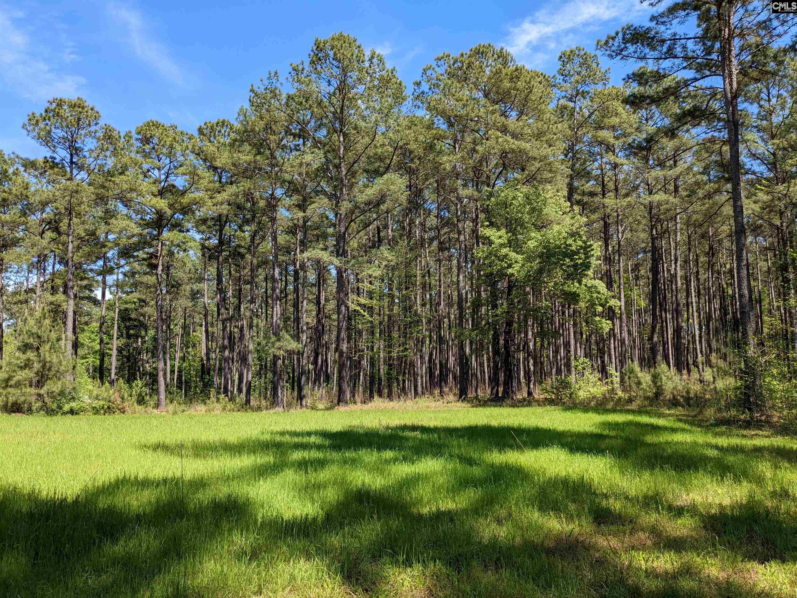 Old Hillcrest School Road Winnsboro, SC 29180