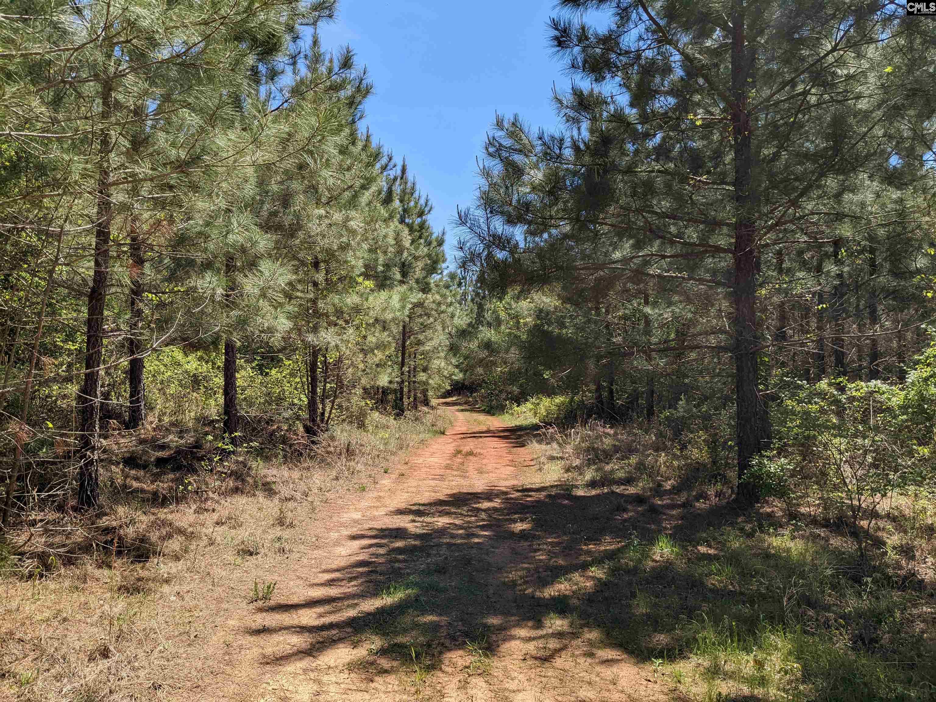 Old Hillcrest School Road Winnsboro, SC 29180