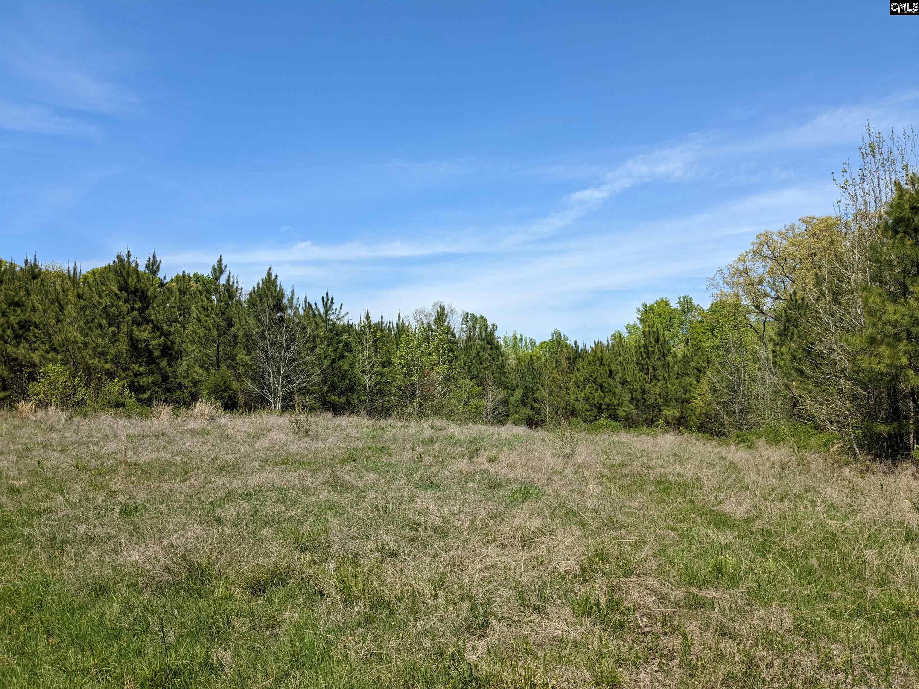 Old Hillcrest School Road Winnsboro, SC 29180