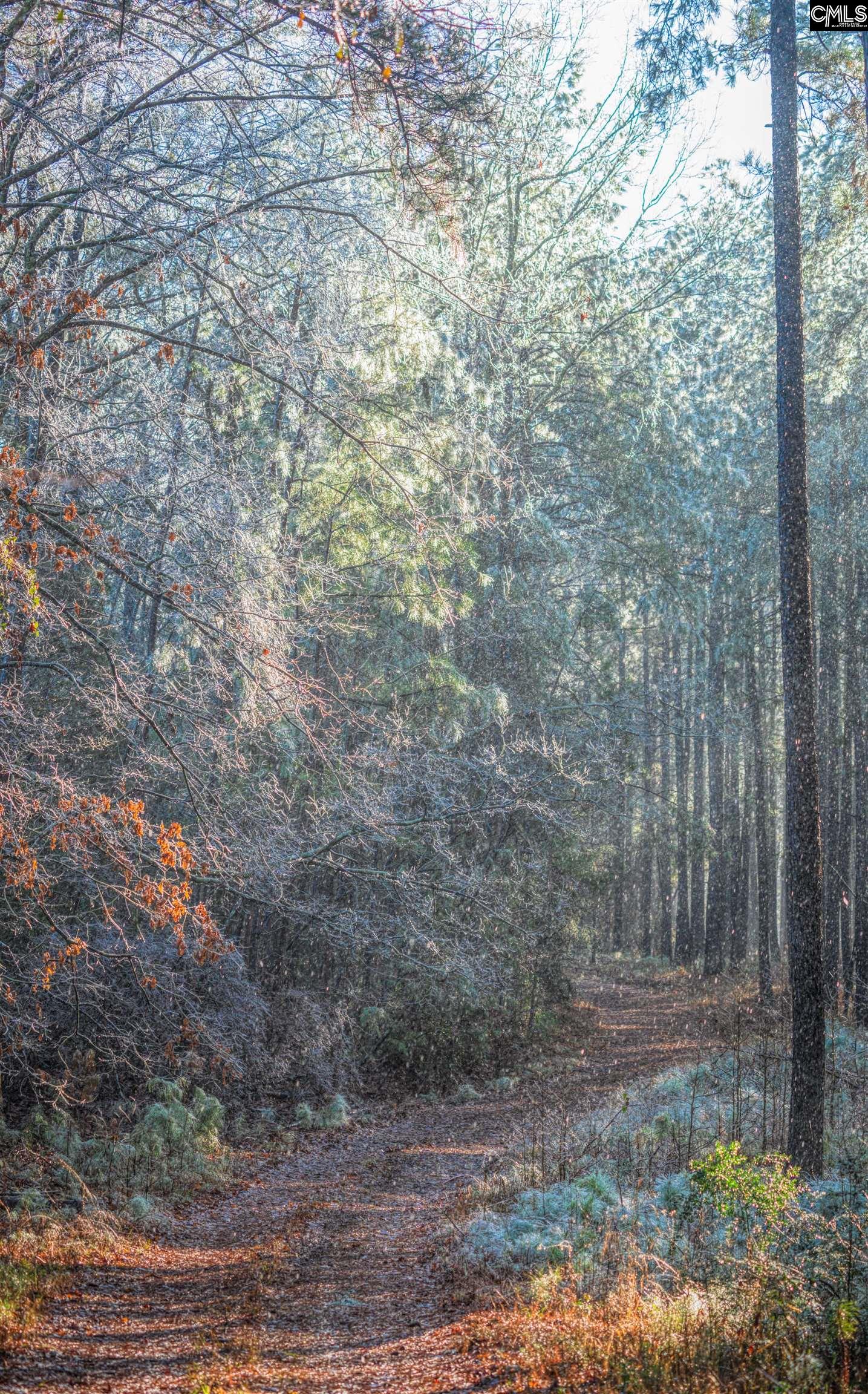Old Hillcrest School Road Winnsboro, SC 29180