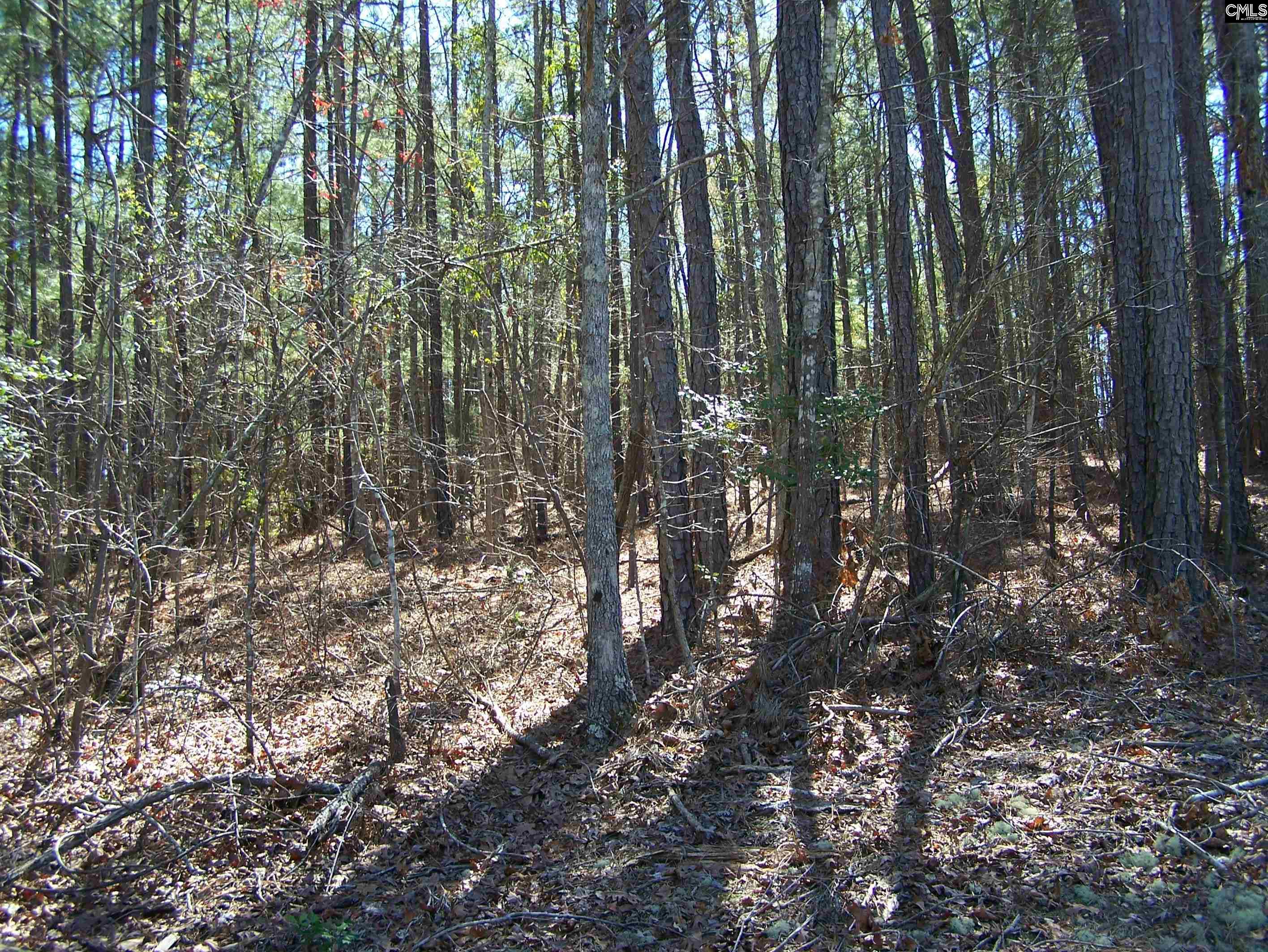 305 - 321 Dubard Boyle Road UNIT Lots#18-22 Columbia, SC 29203