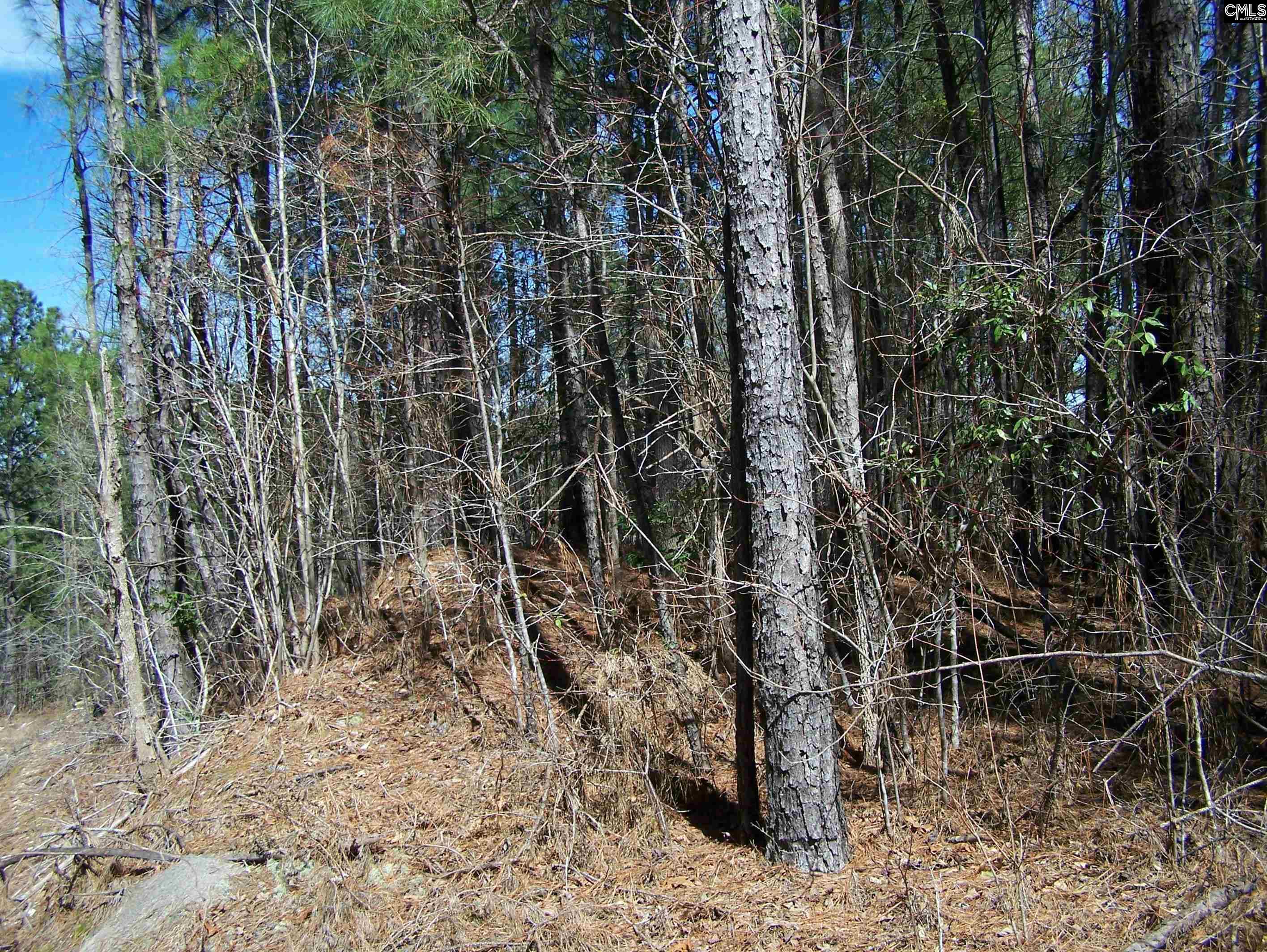305 - 321 Dubard Boyle Road UNIT Lots#18-22 Columbia, SC 29203