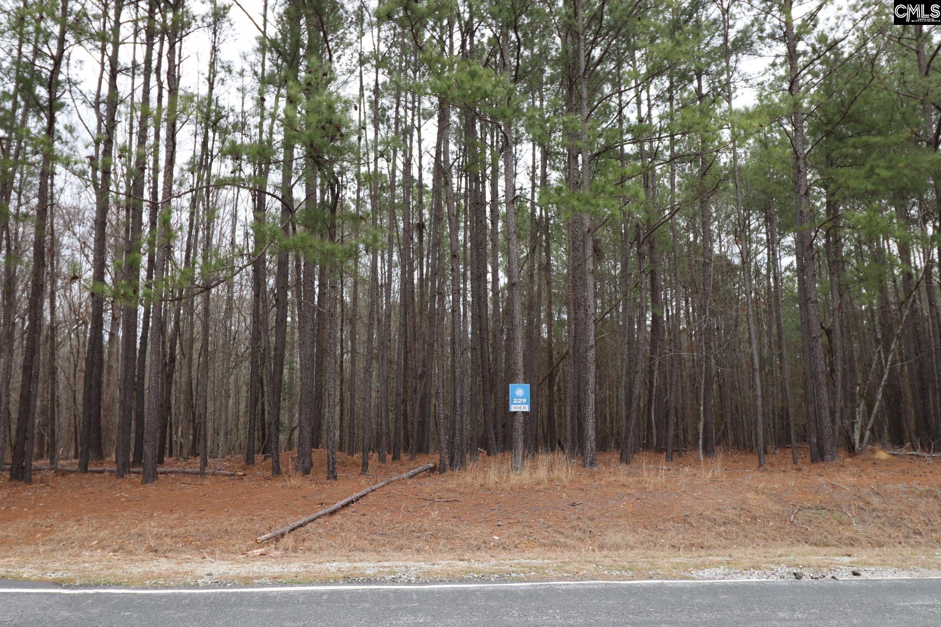 LOT 229 Granny Hill Road UNIT #229 Prosperity, SC 29127
