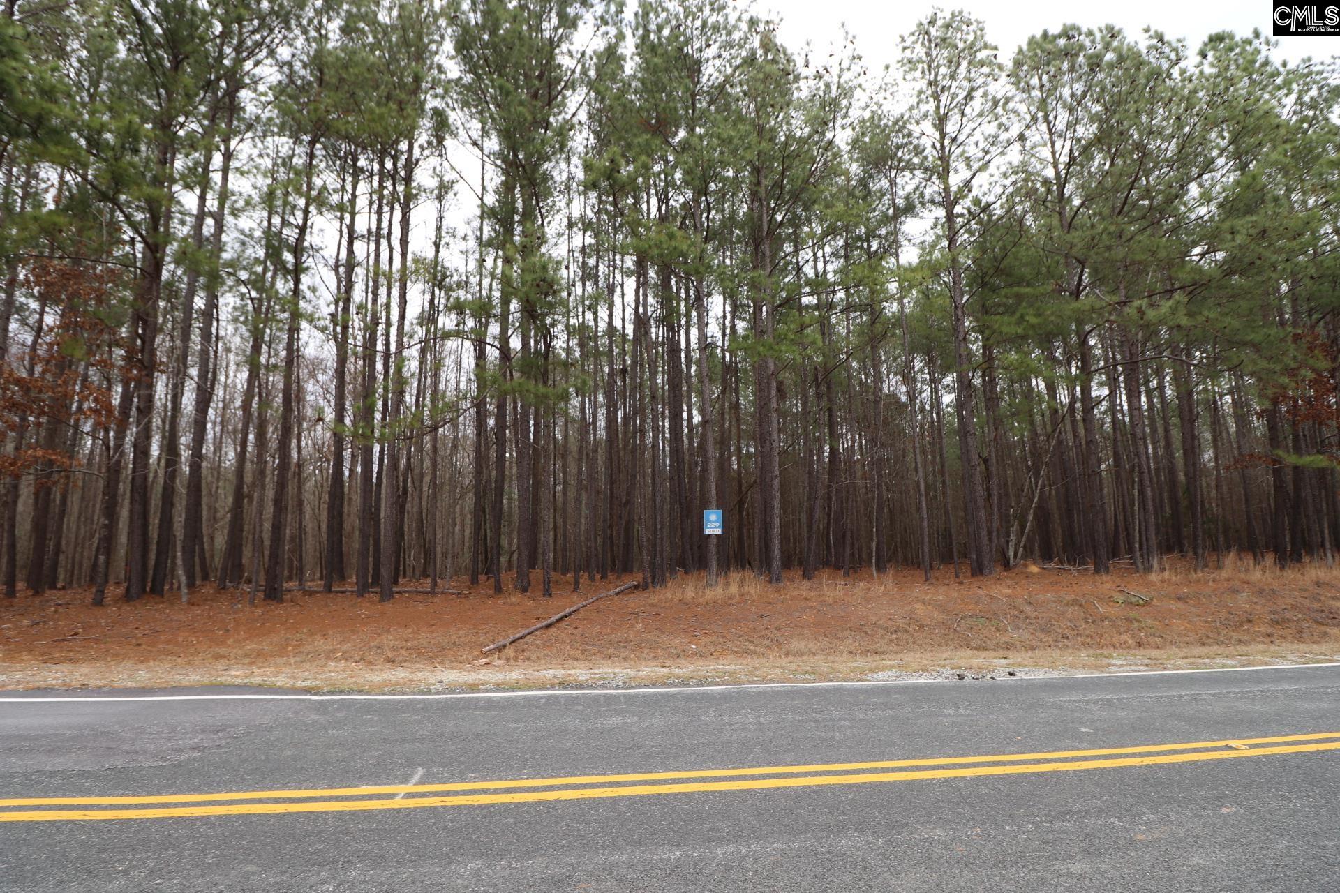 LOT 229 Granny Hill Road UNIT #229 Prosperity, SC 29127