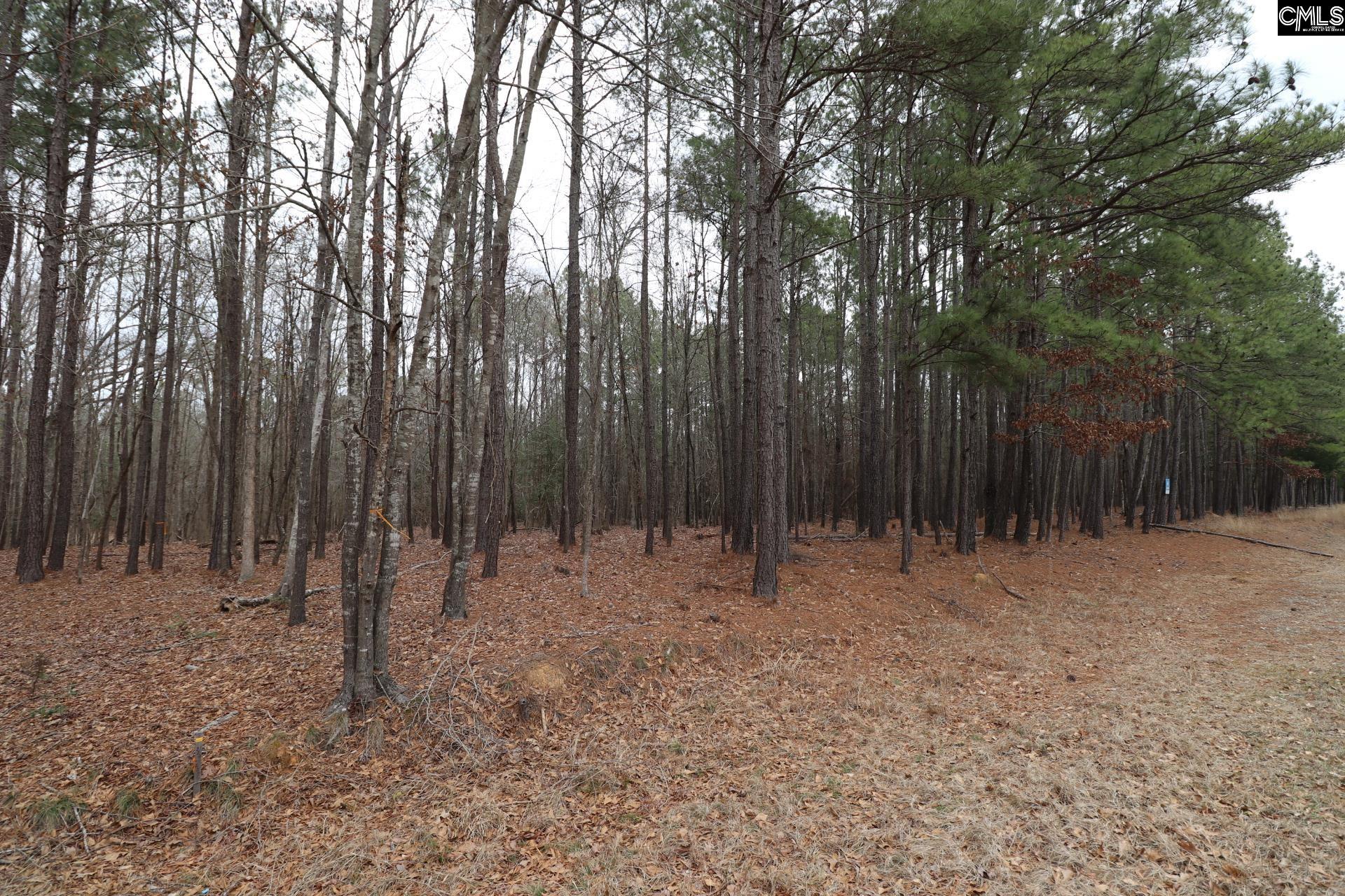 LOT 229 Granny Hill Road UNIT #229 Prosperity, SC 29127