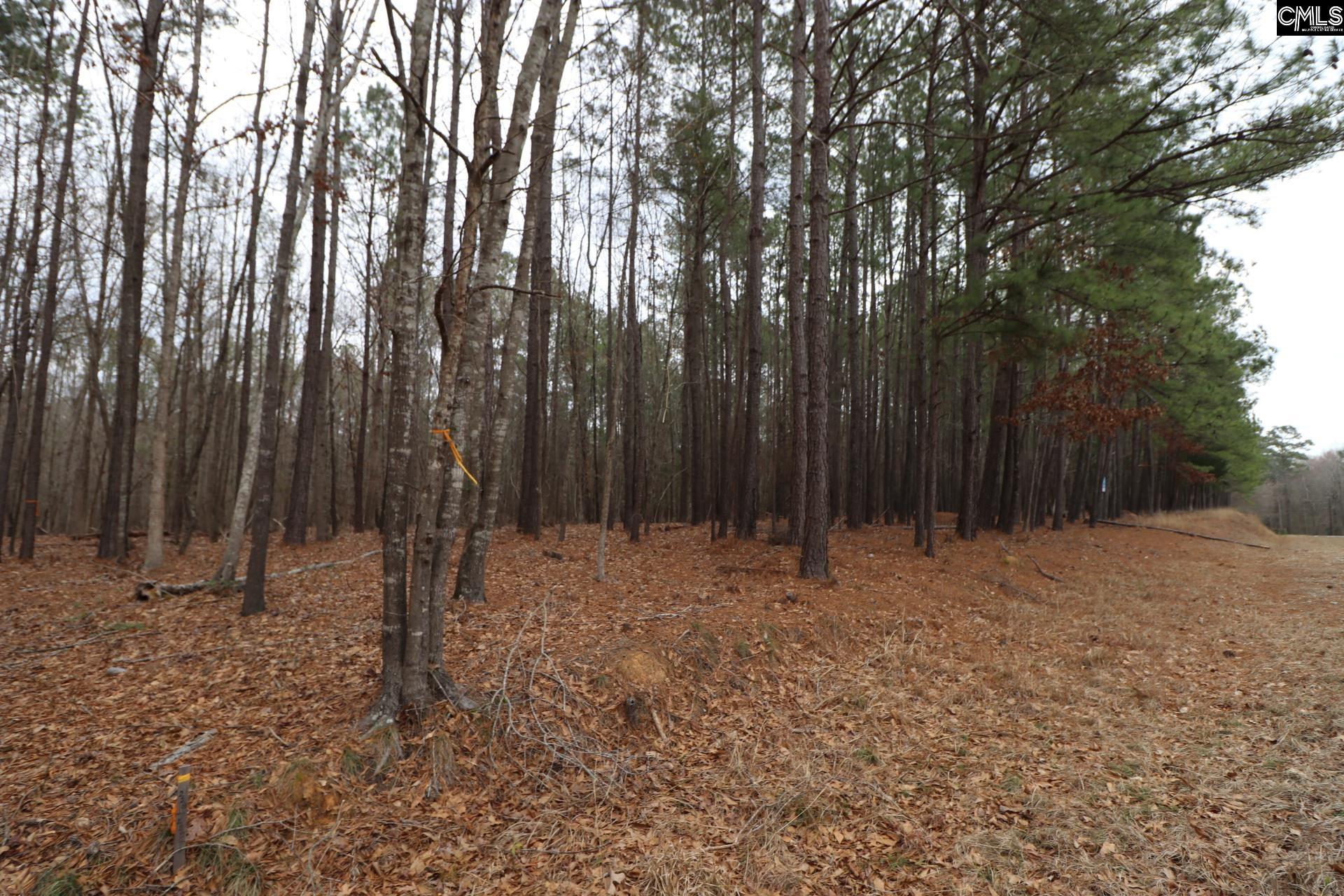 LOT 229 Granny Hill Road UNIT #229 Prosperity, SC 29127