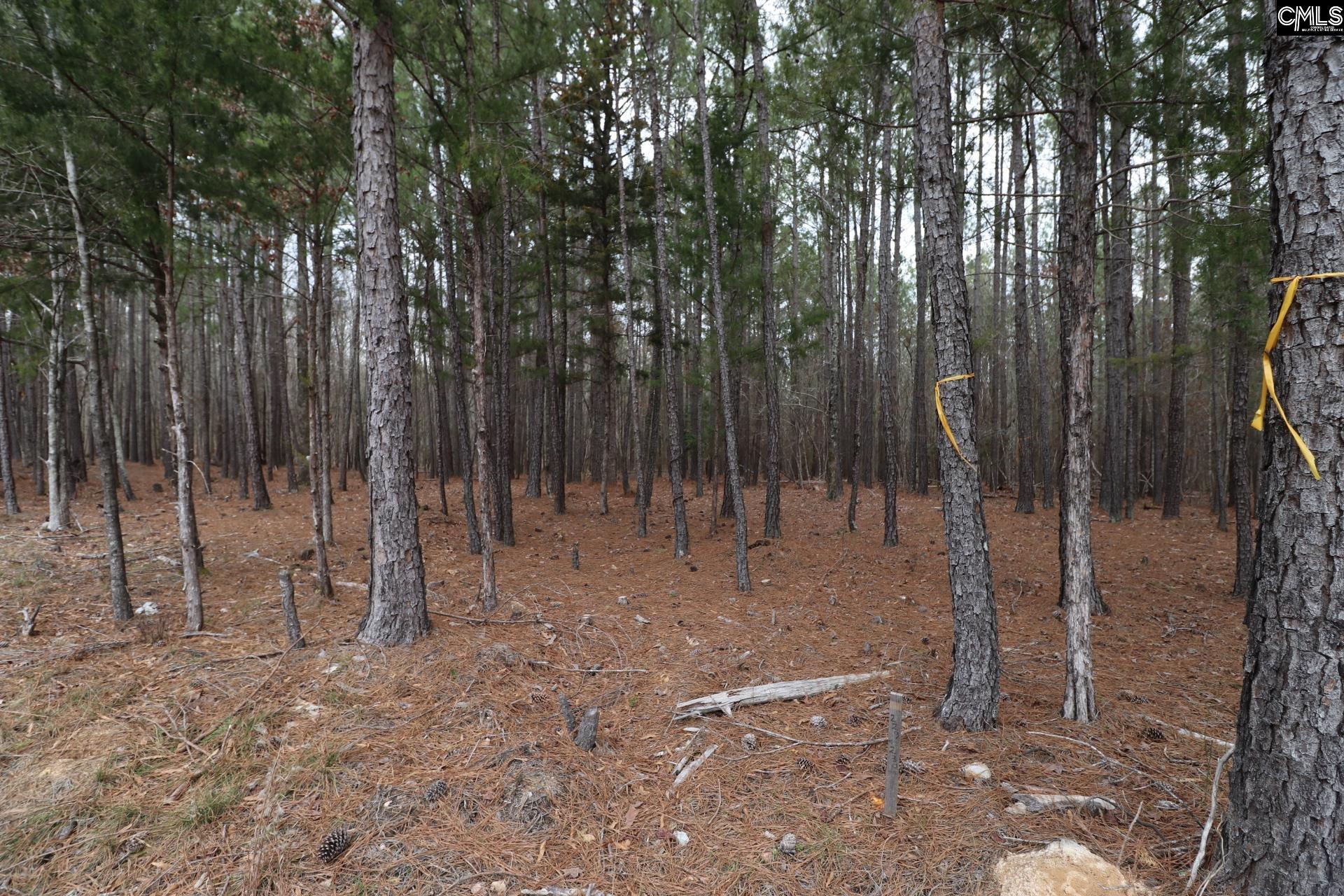 LOT 229 Granny Hill Road UNIT #229 Prosperity, SC 29127
