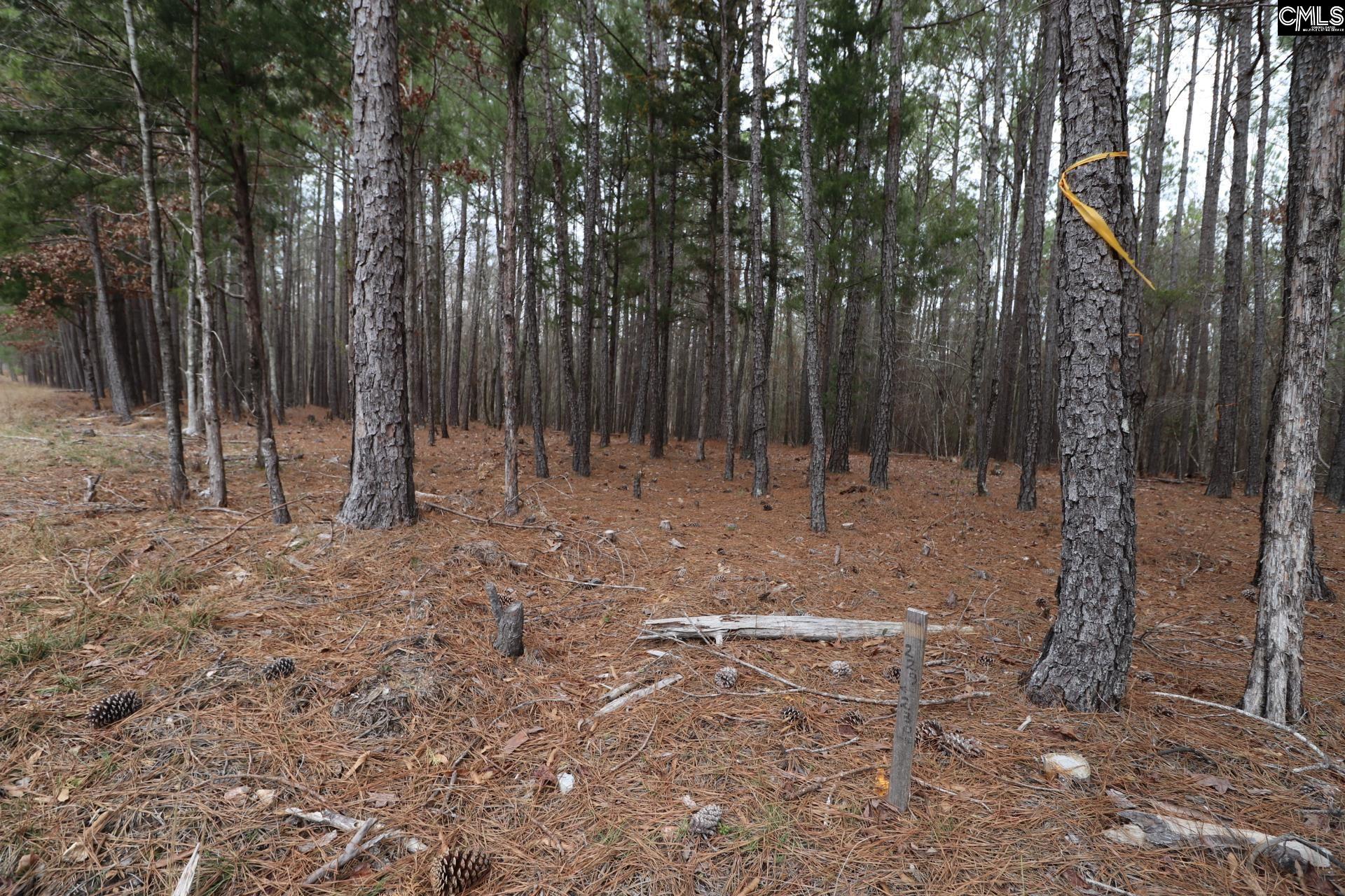LOT 229 Granny Hill Road UNIT #229 Prosperity, SC 29127