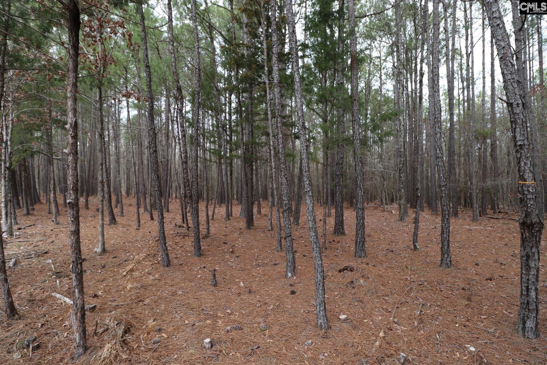 LOT 229 Granny Hill Road UNIT #229 Prosperity, SC 29127