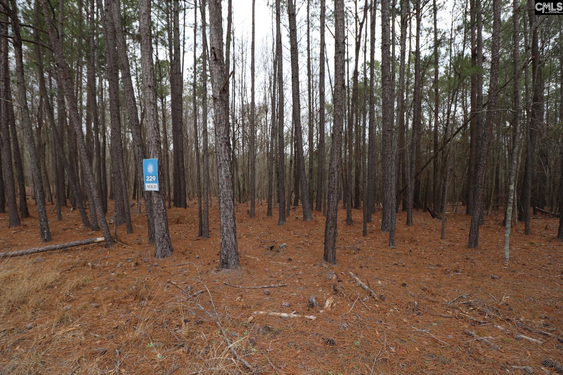 LOT 229 Granny Hill Road UNIT #229 Prosperity, SC 29127