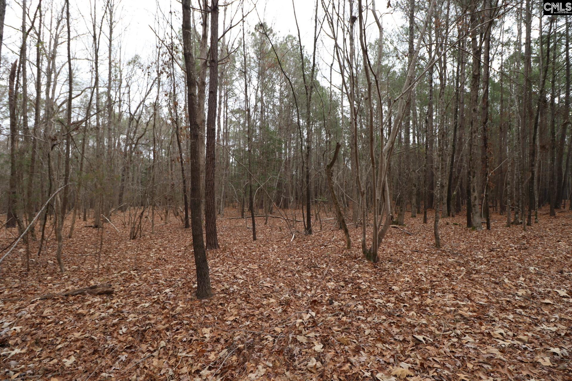 LOT 229 Granny Hill Road UNIT #229 Prosperity, SC 29127