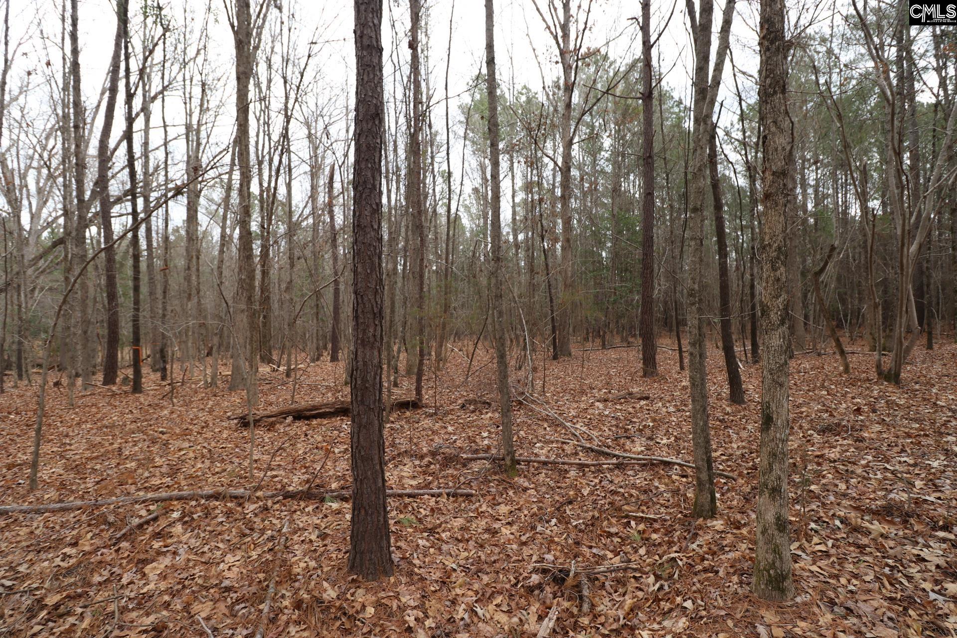 LOT 229 Granny Hill Road UNIT #229 Prosperity, SC 29127