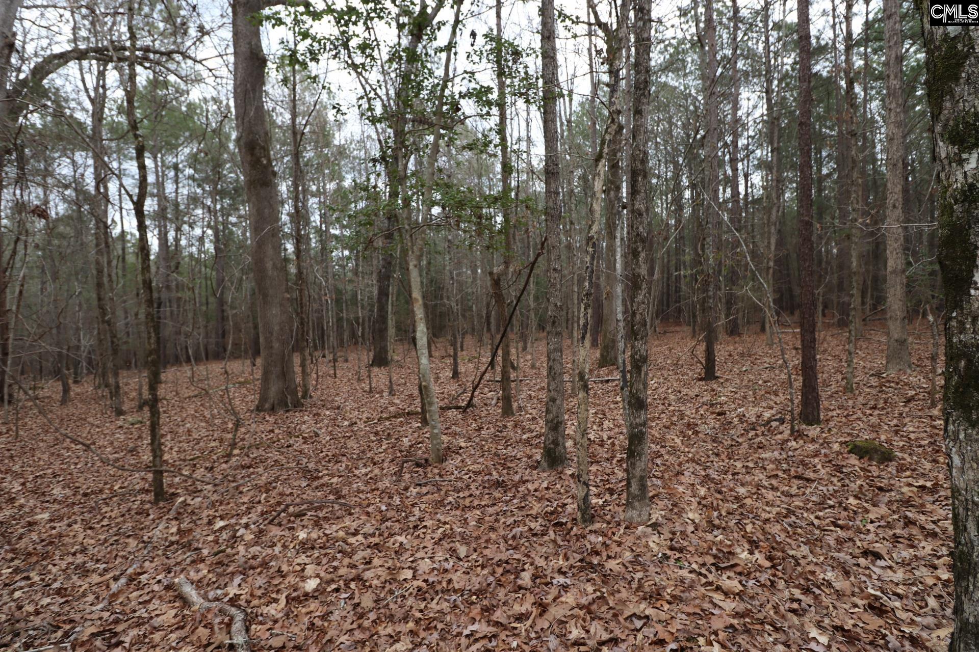 LOT 229 Granny Hill Road UNIT #229 Prosperity, SC 29127