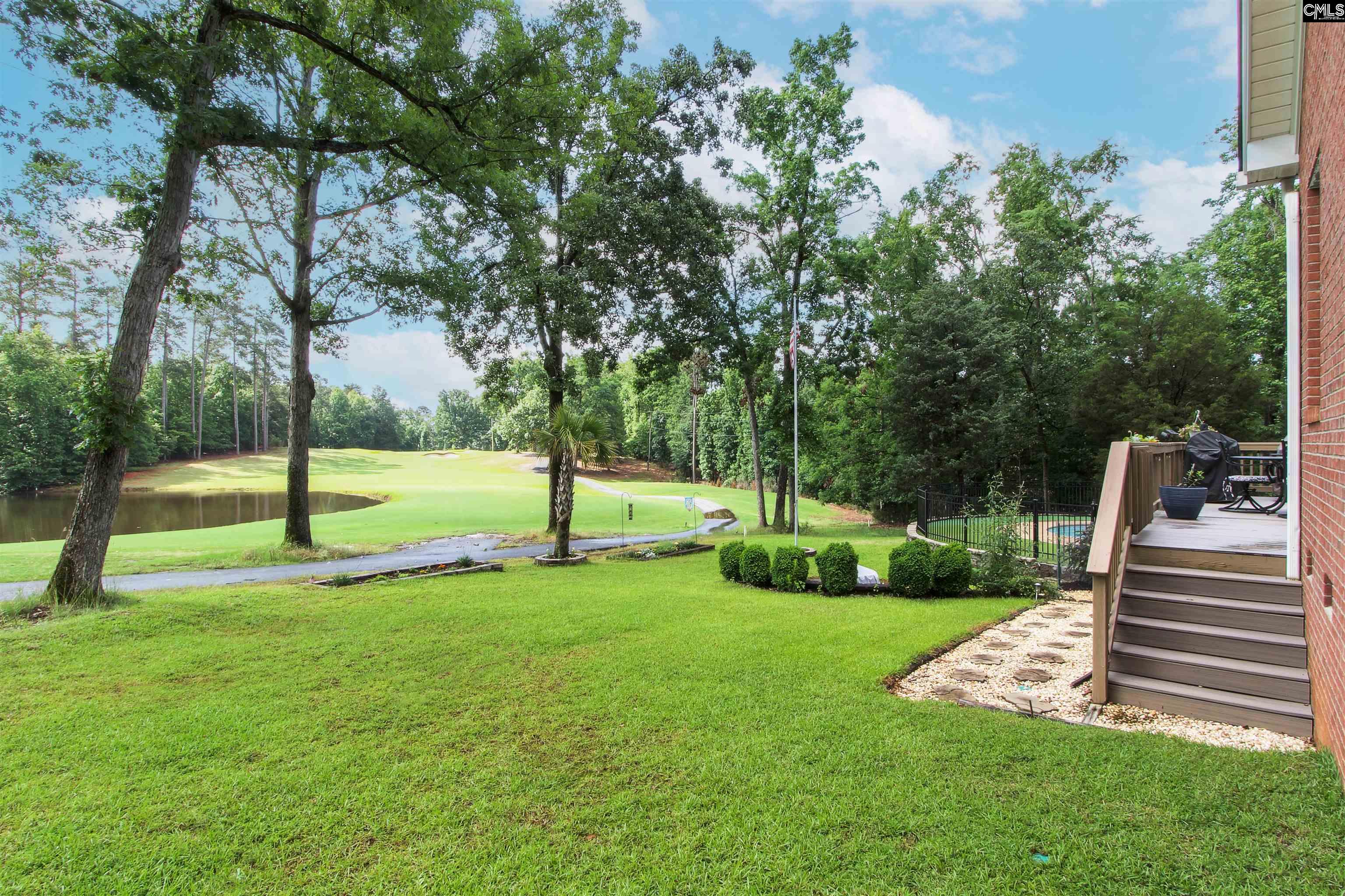 129 Linkside Court Chapin, SC 29036-8750