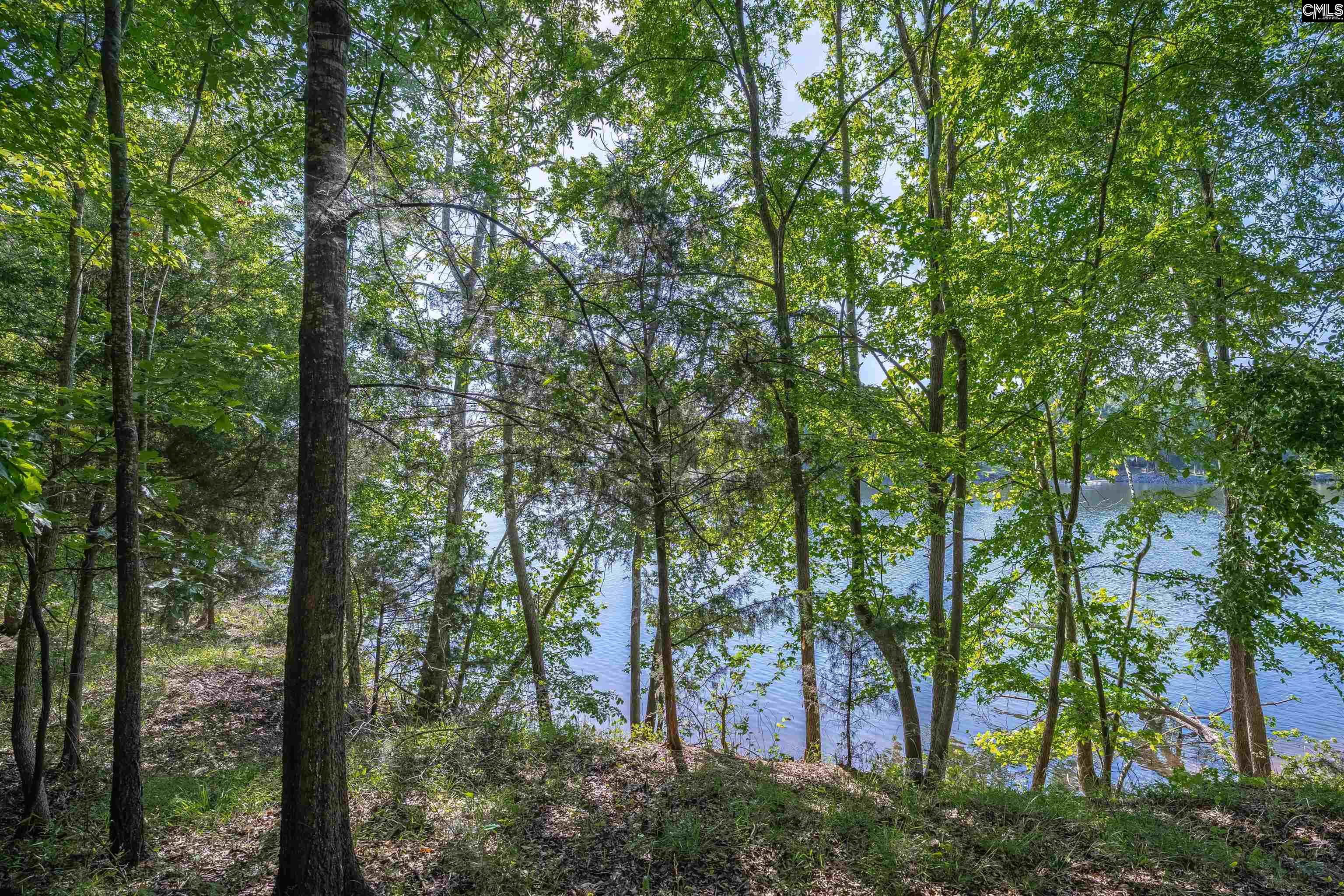 2022 Lake Road Ridgeway, SC 29130