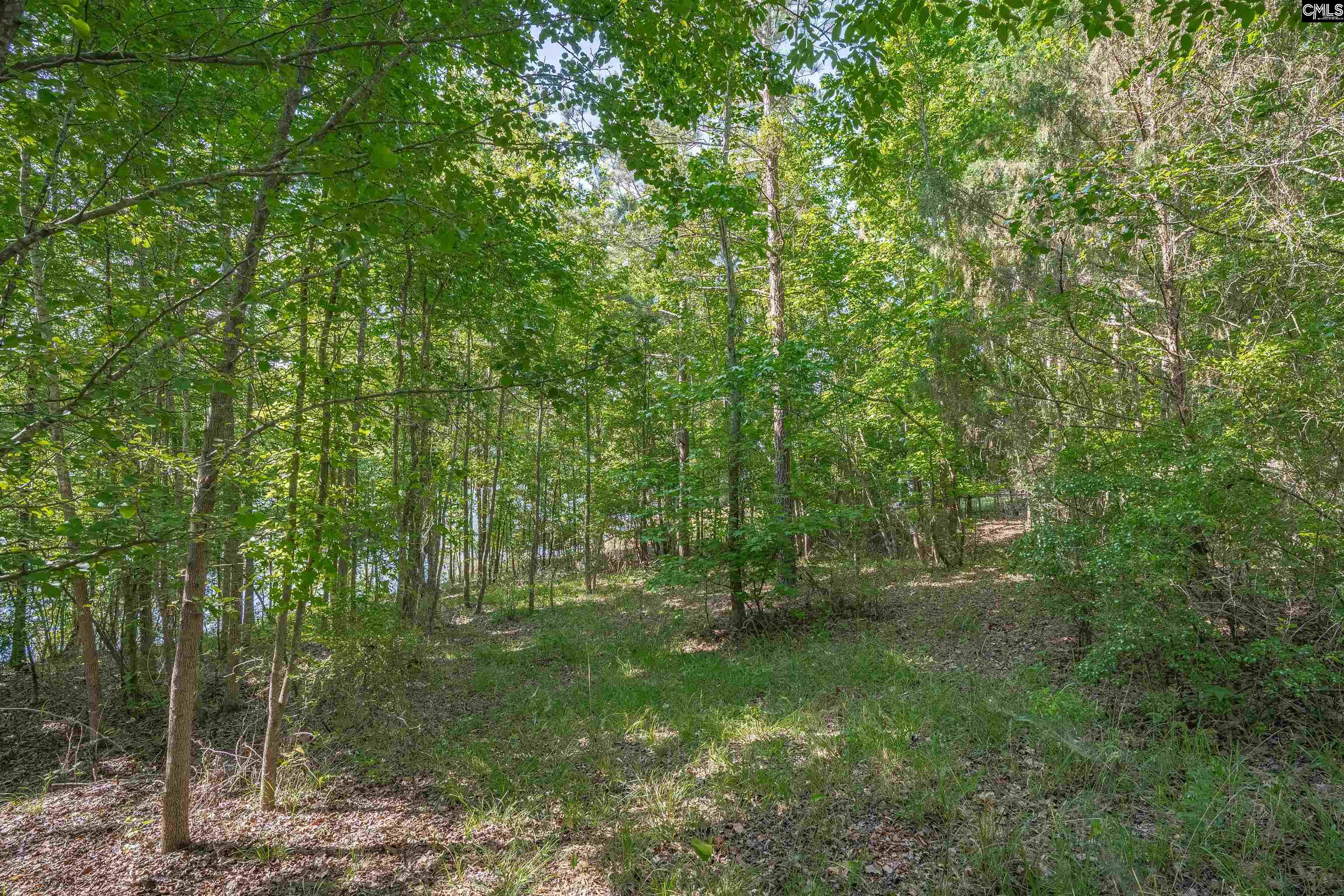 2022 Lake Road Ridgeway, SC 29130