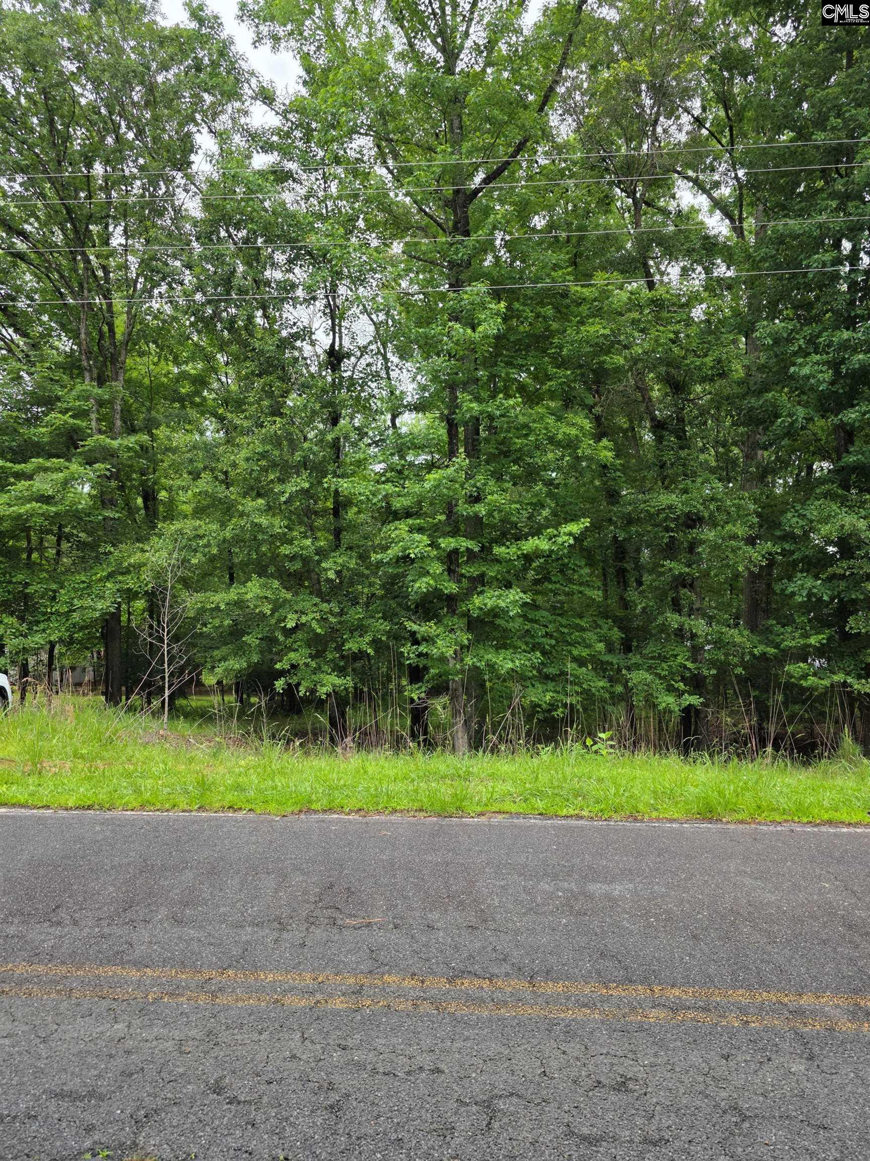 1595 Wateree Estates Road Winnsboro, SC 29180