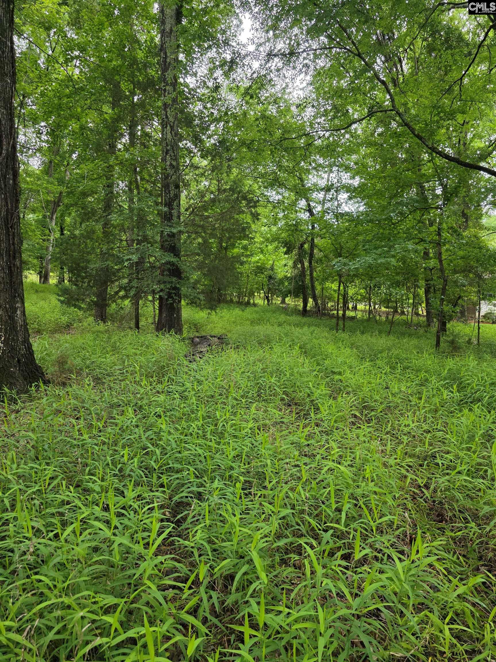 1595 Wateree Estates Road Winnsboro, SC 29180