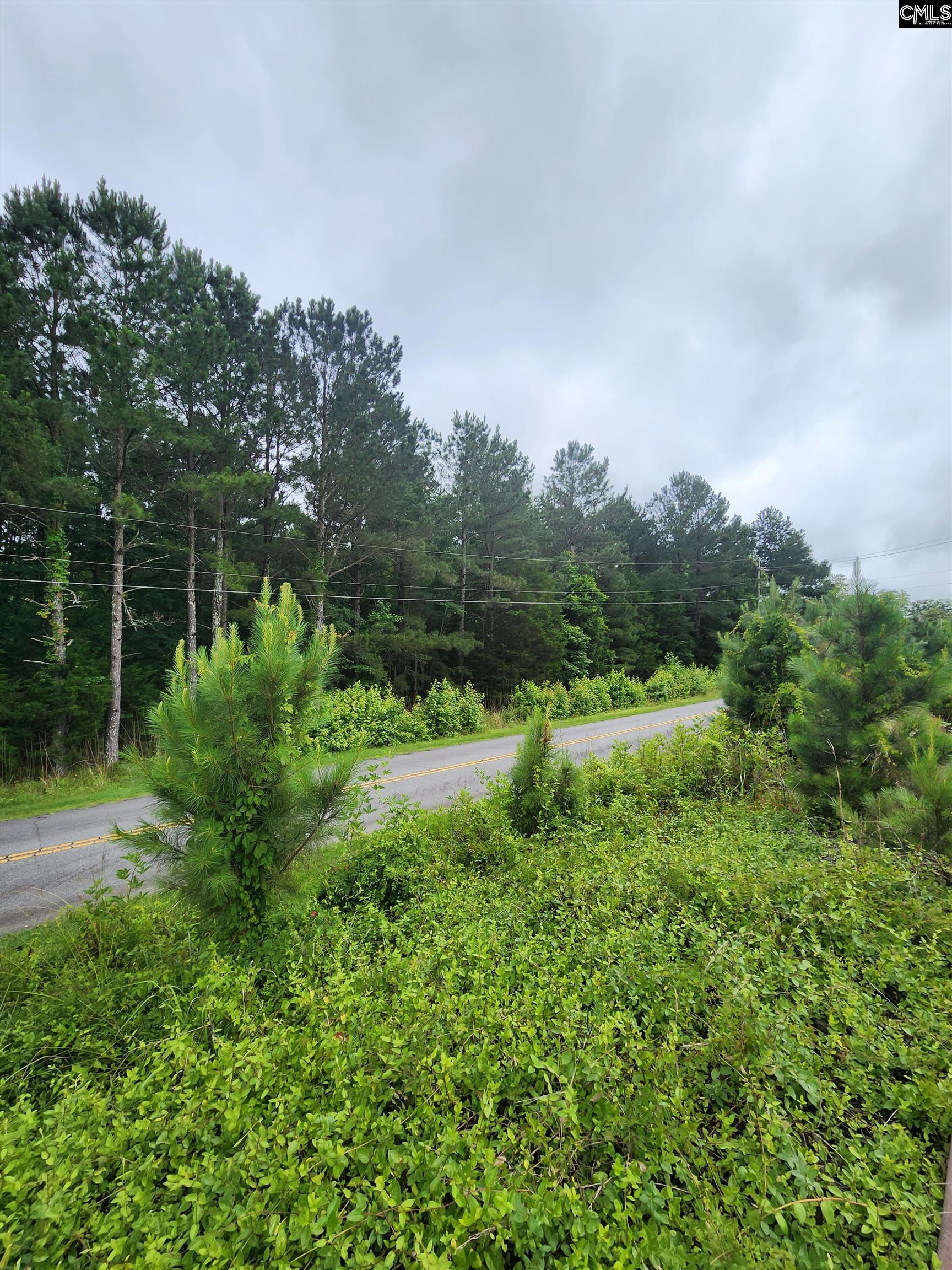Elm Street Prosperity, SC 29127