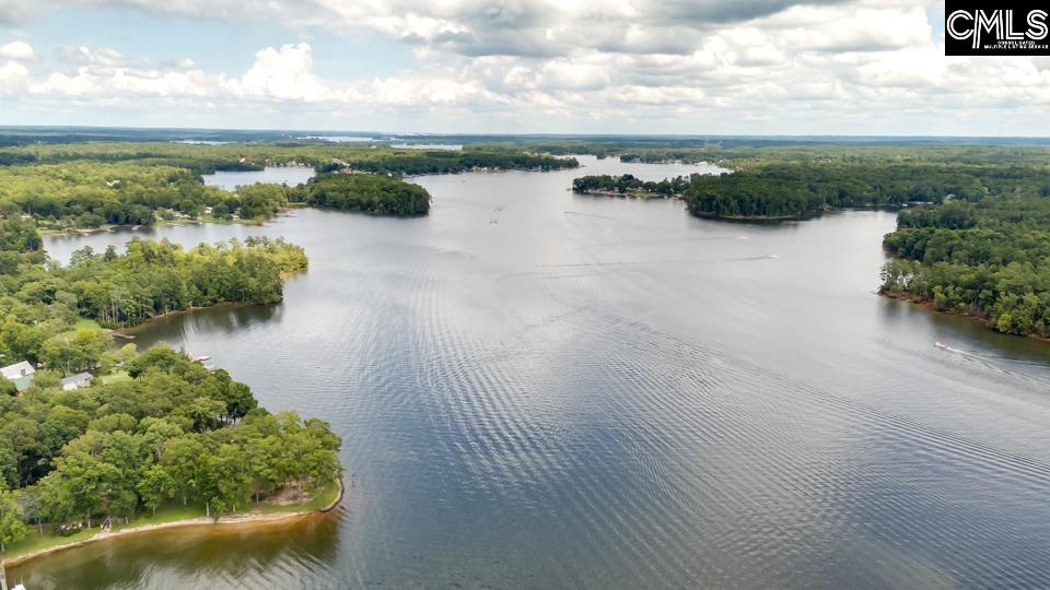 196 Osprey Pointe Lane Prosperity, SC 29127