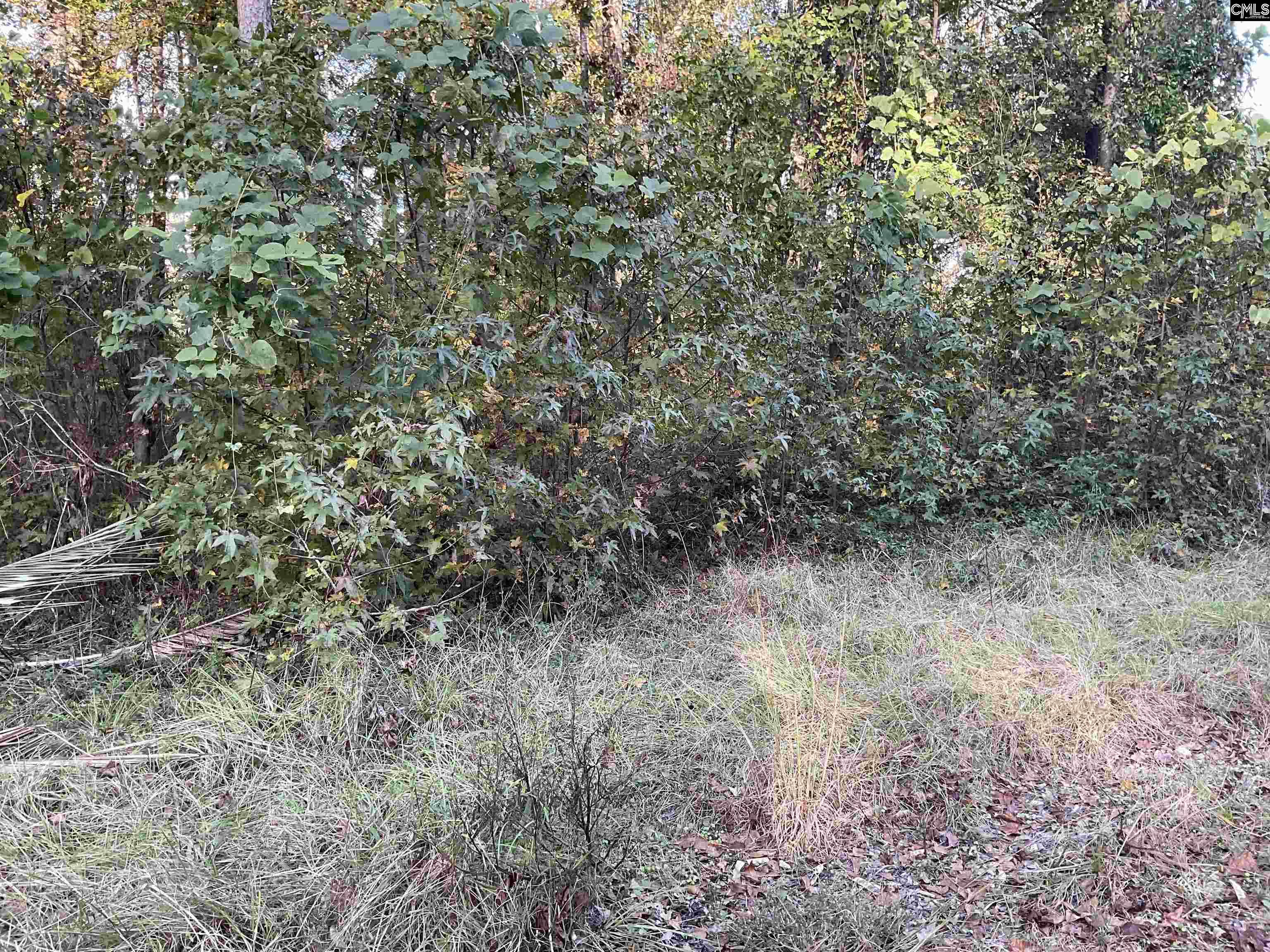 3551 Moonlight Road Barnwell, SC 29853