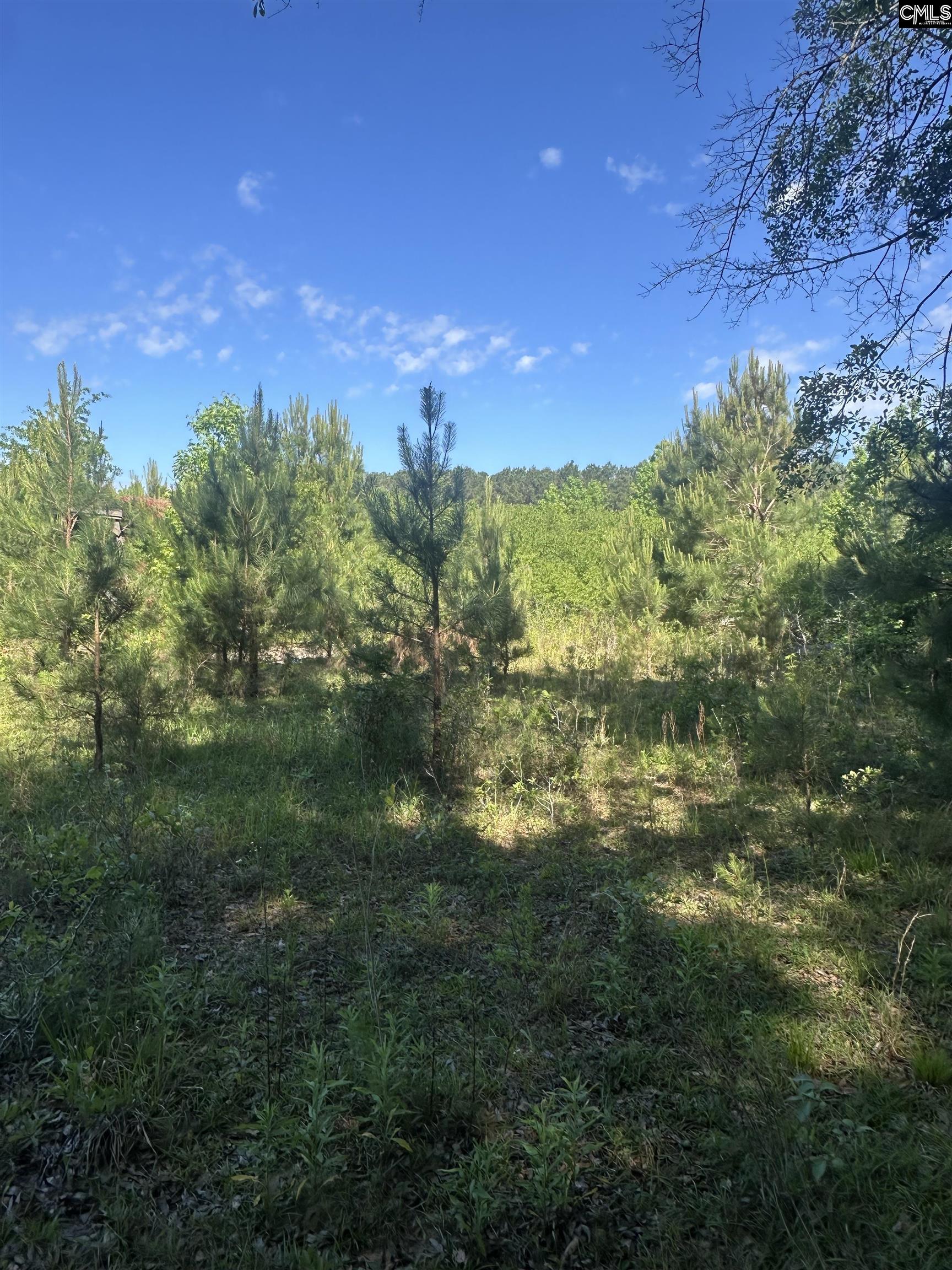 3551 Moonlight Road Barnwell, SC 29853