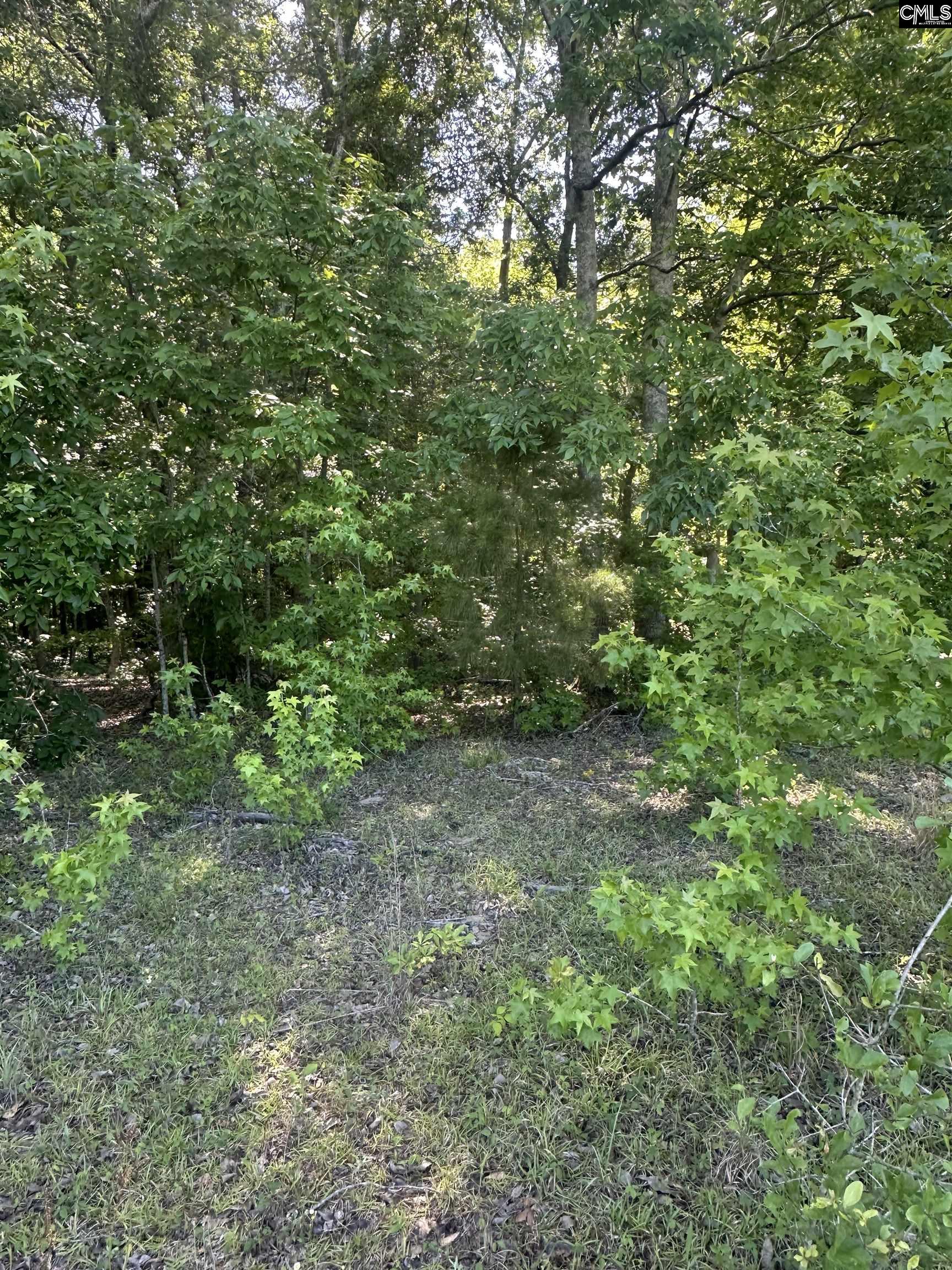 3551 Moonlight Road Barnwell, SC 29853
