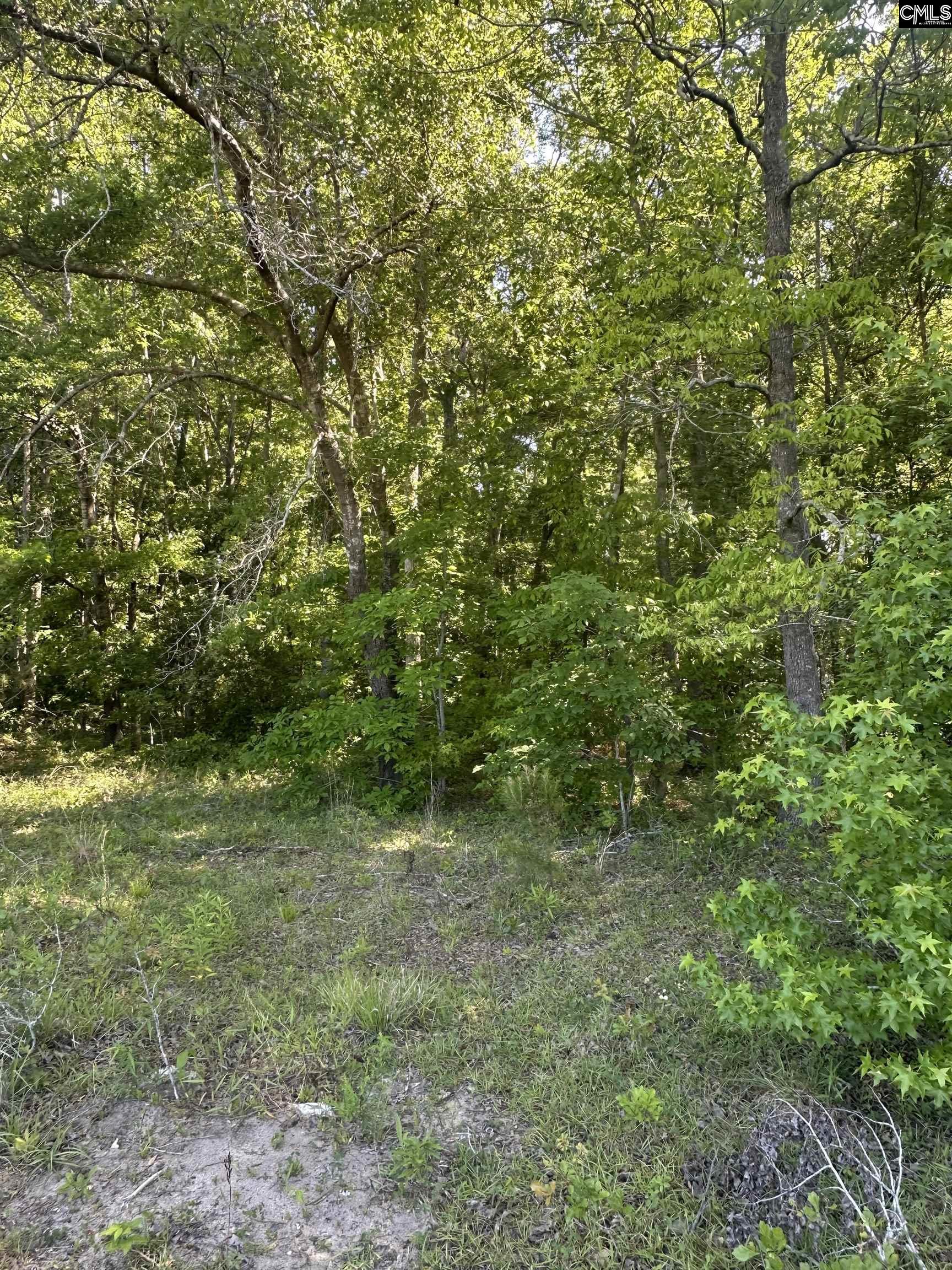 3551 Moonlight Road Barnwell, SC 29853