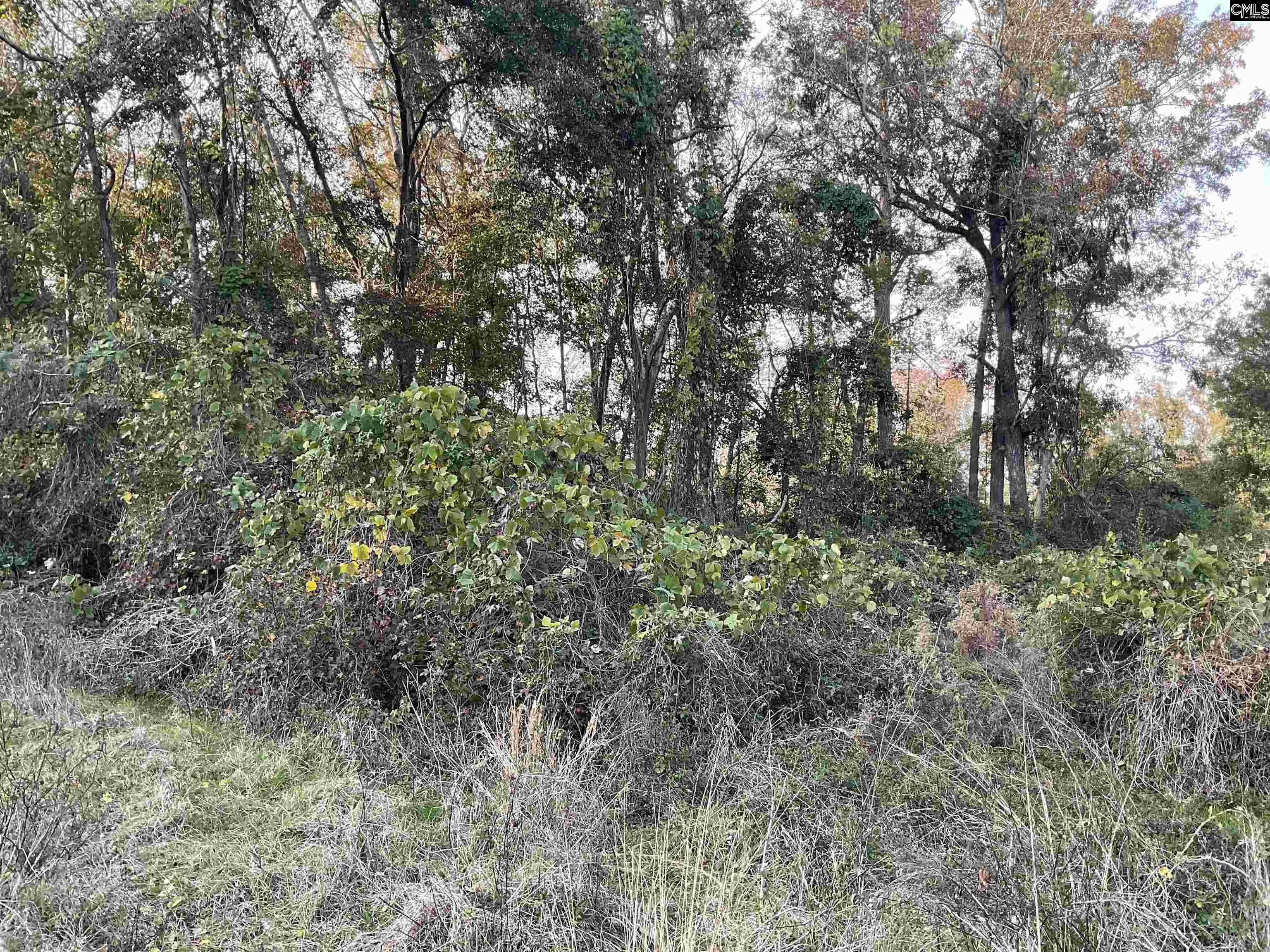 3551 Moonlight Road Barnwell, SC 29853