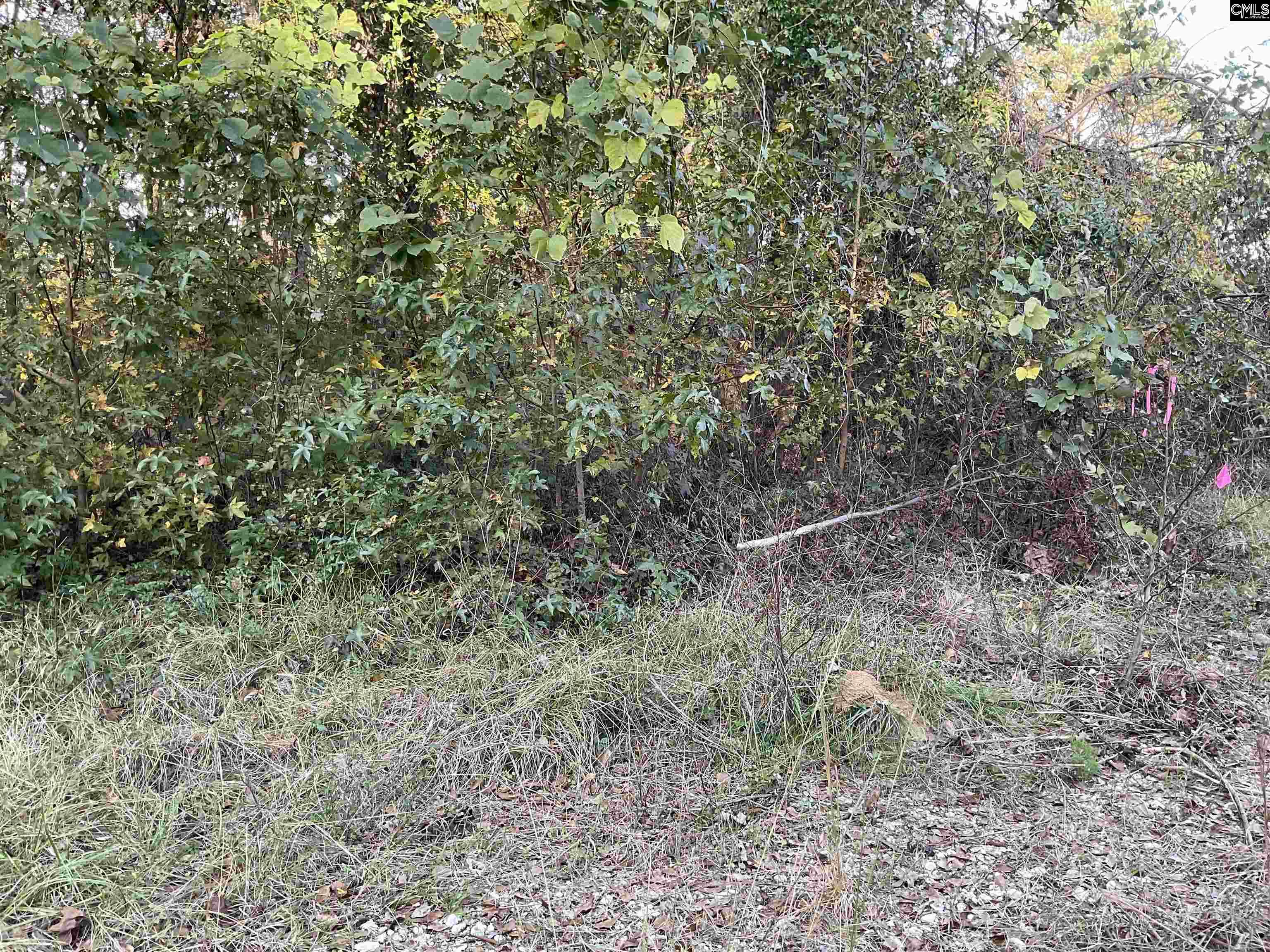 3551 Moonlight Road Barnwell, SC 29853