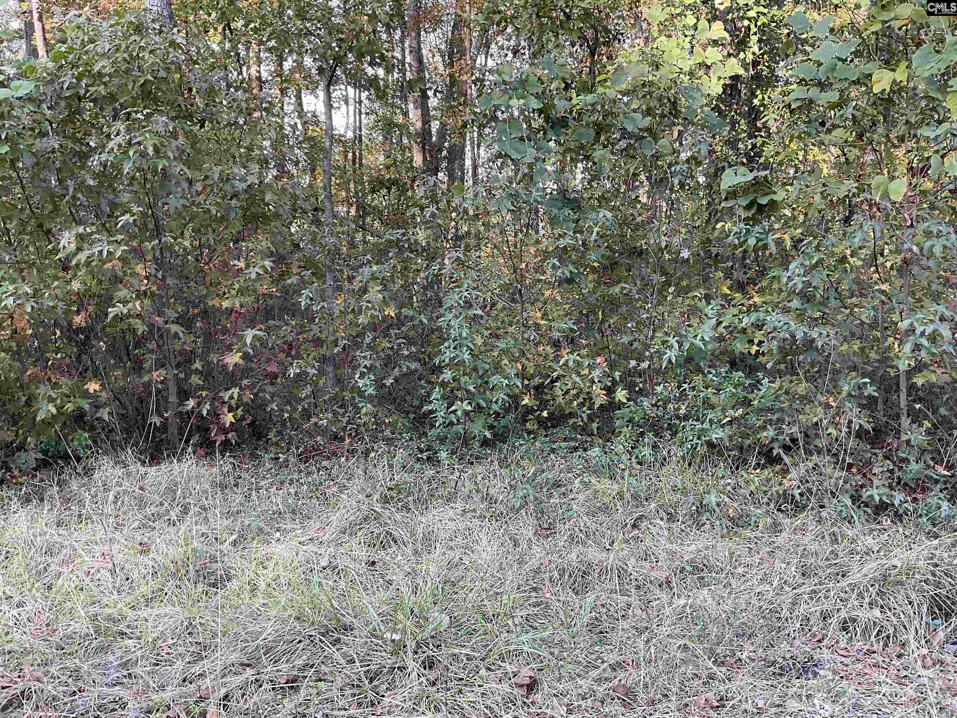 3551 Moonlight Road Barnwell, SC 29853