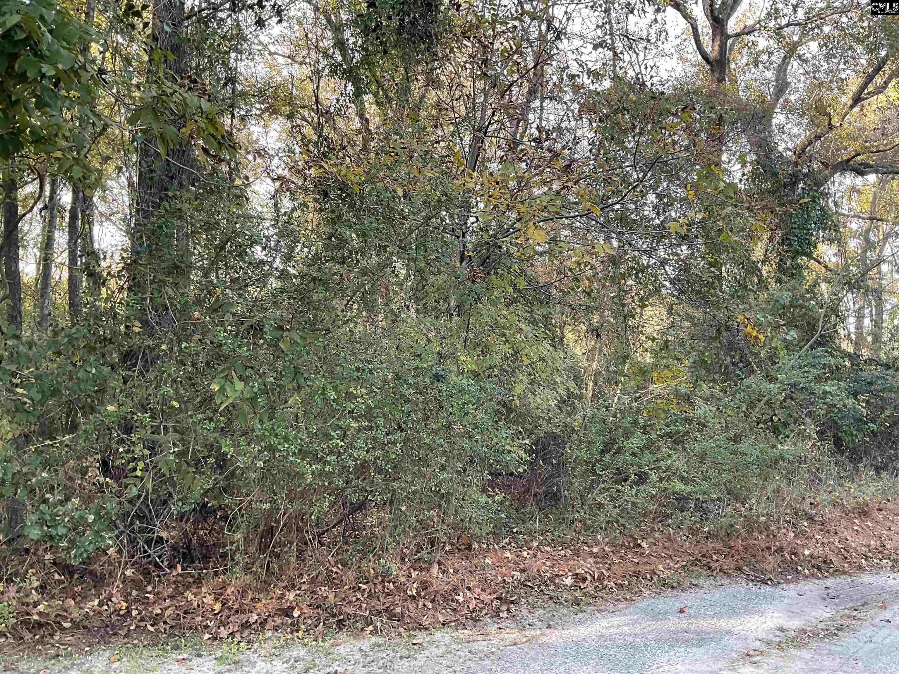 3551 Moonlight Road Barnwell, SC 29853